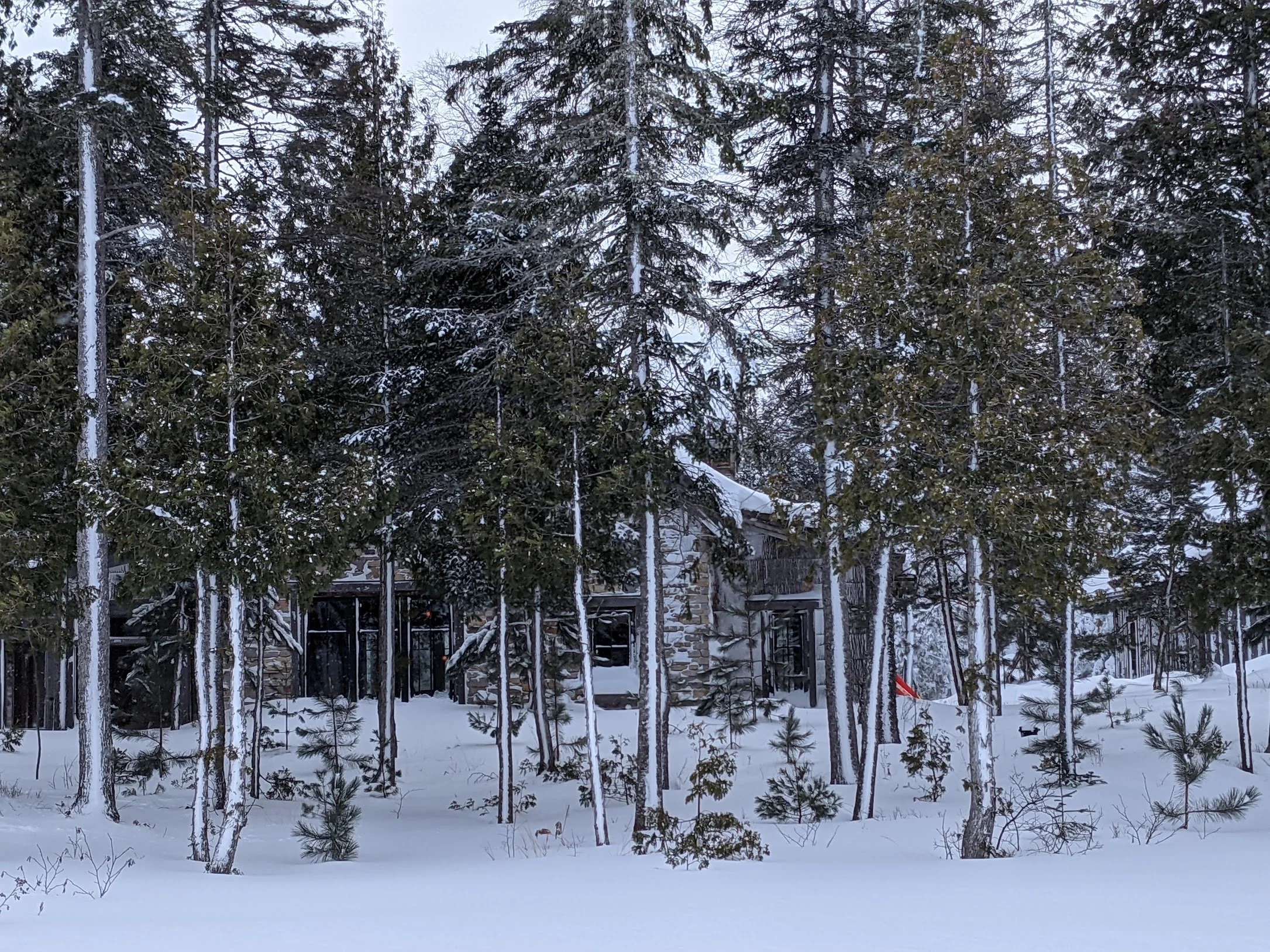 Coated in snow, the cabin is almost invisible as seen from the shoreline.
