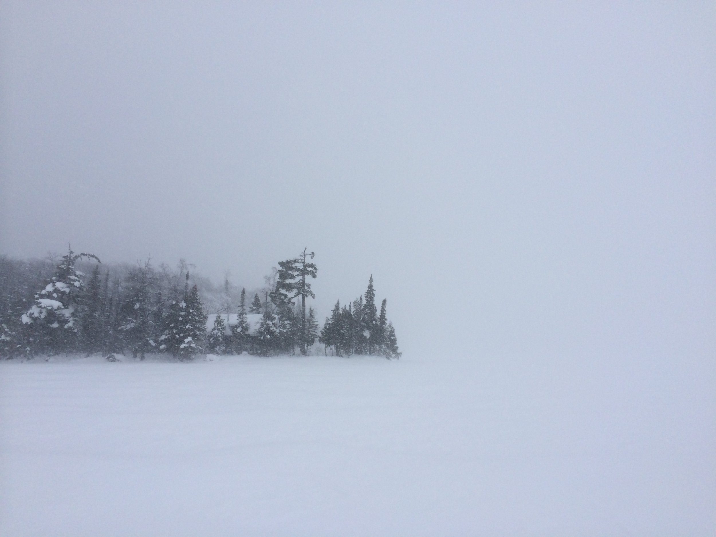 "Everywhere, everywhere, snow sifting down...a world becoming white...no more sound...no longer possible to find the heart of the day." - Joseph Stroud