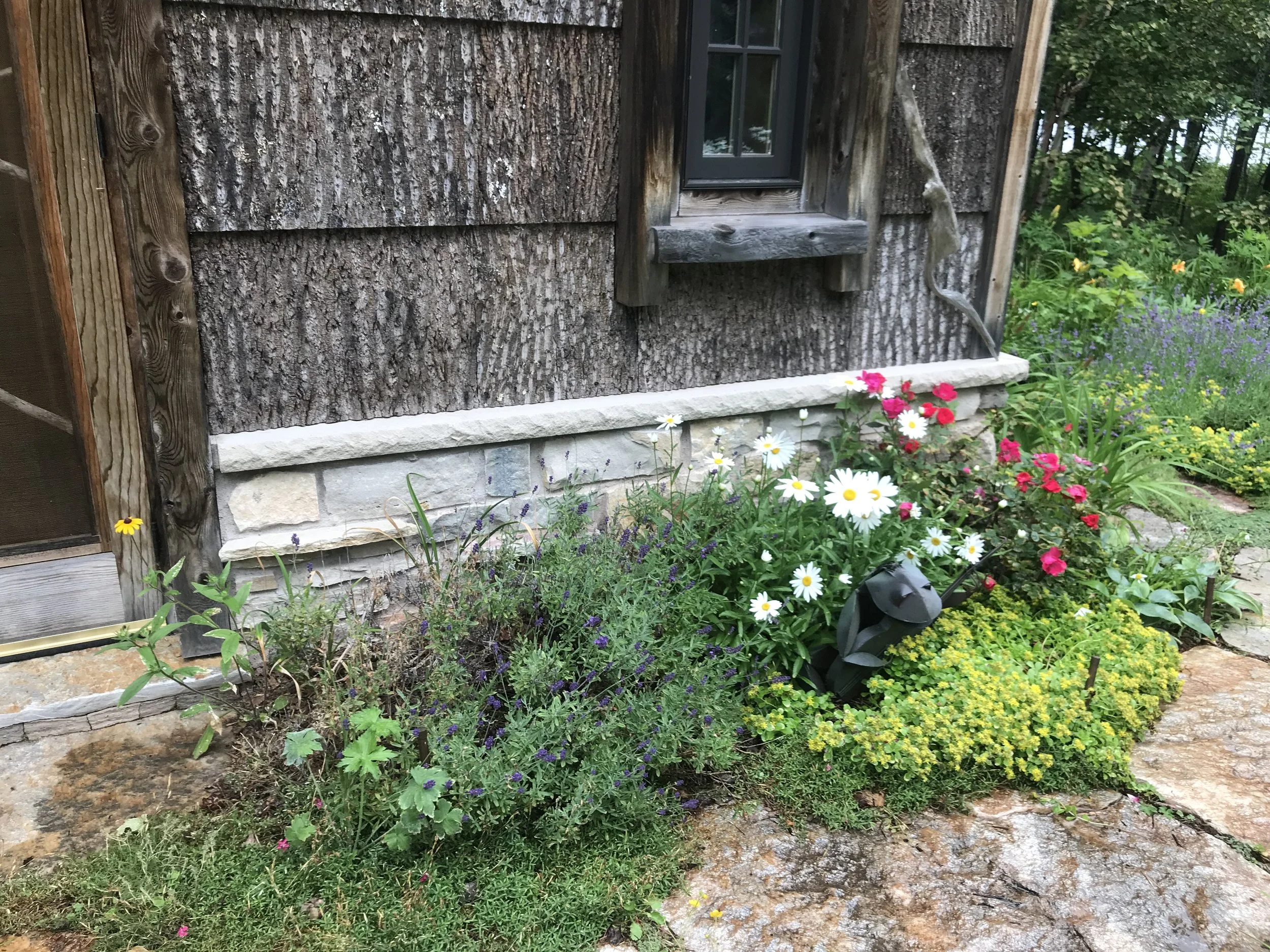 Garden detail; frog was curbside find