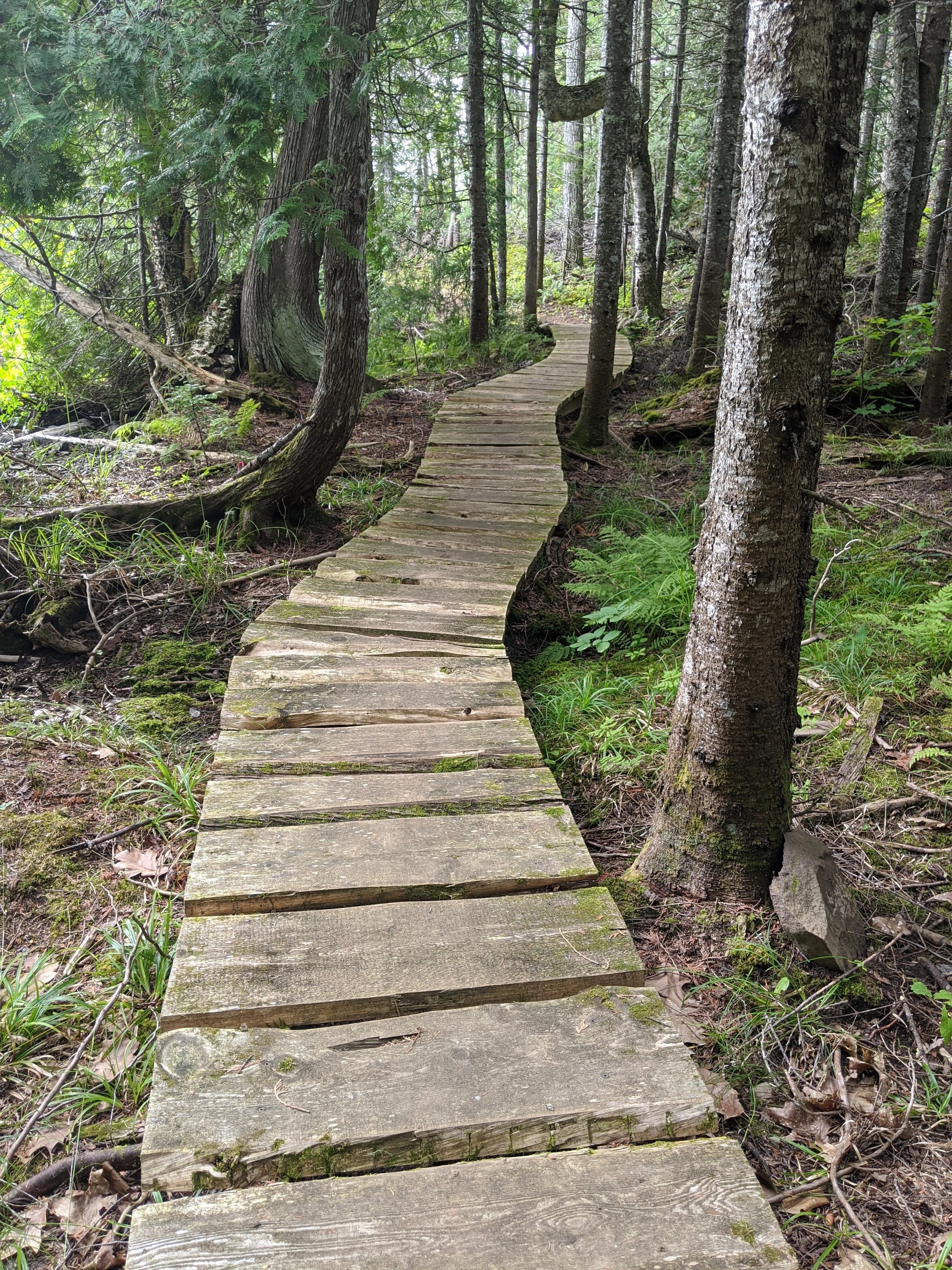 1.0+ mile trail on our property