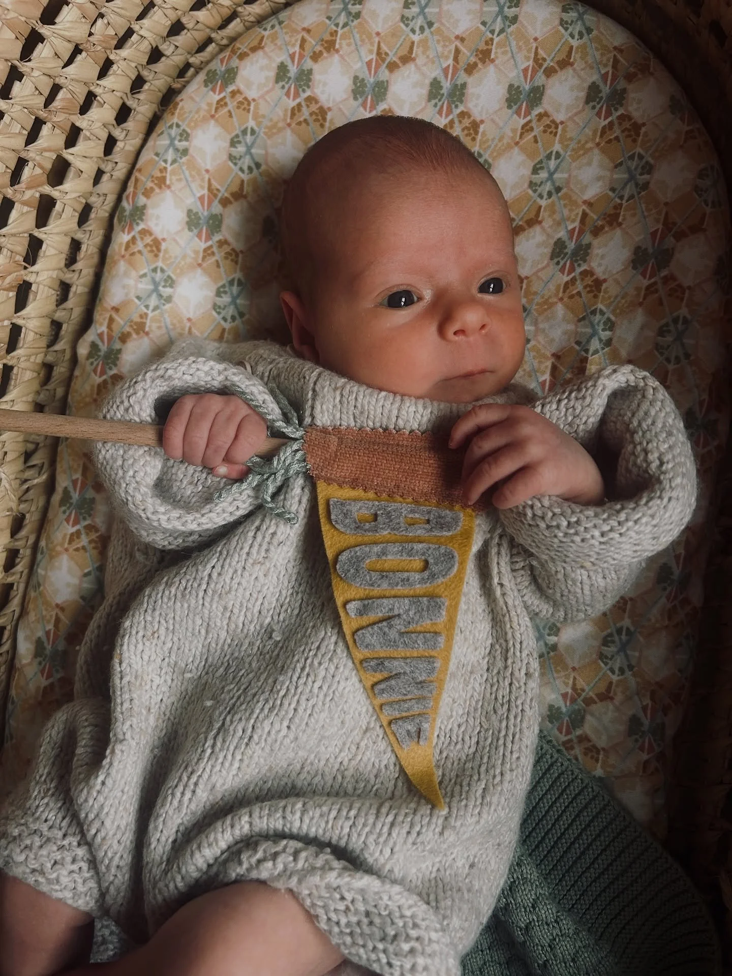 🌈 It&rsquo;s about time we introduced the newest member of the gang: Bonnie Cove Melhuish, born mid September. Totally in love with our little rainbow - can&rsquo;t believe she&rsquo;s nearly a month old already.

It&rsquo;s not been an easy journey