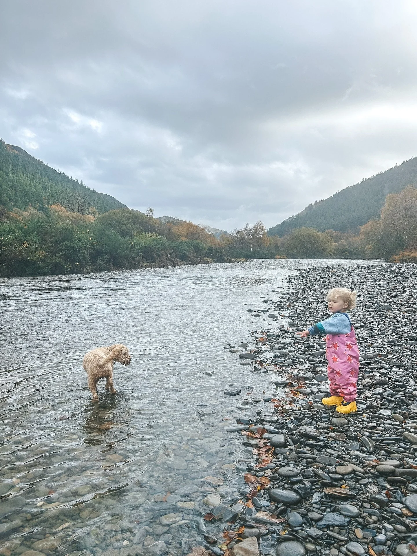 Snaps from a quick trip to Mid wales to explore Hafren Forest and the Hafod estate. 

Loved the boardwalk in the forest, perfect for kids to run or bike along the river. All the walking routes are really beautiful especially this time of year. Again,