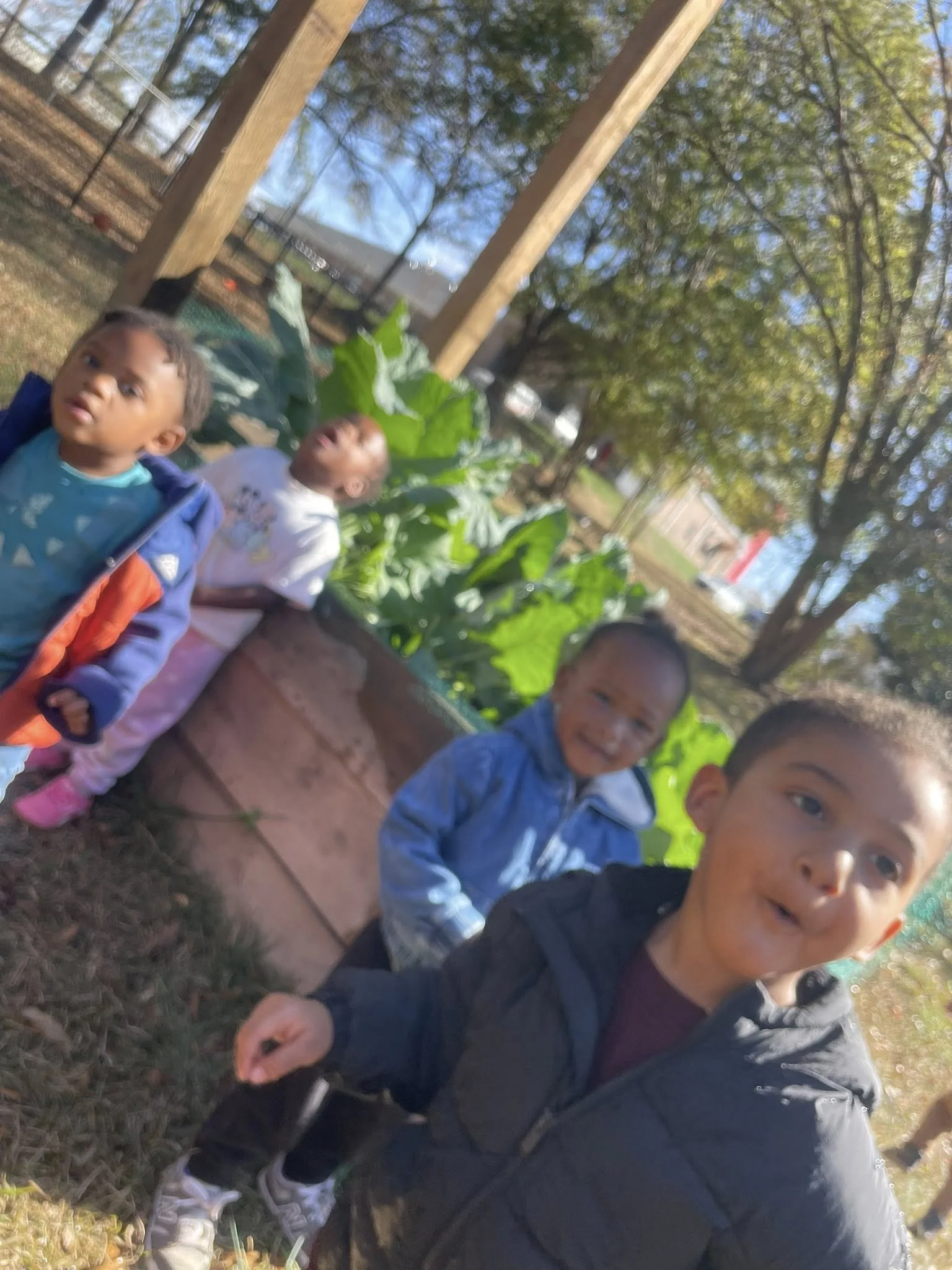 Four young children outdoors in a garden with large green plants, wooden posts, trees, and a clear blue sky.