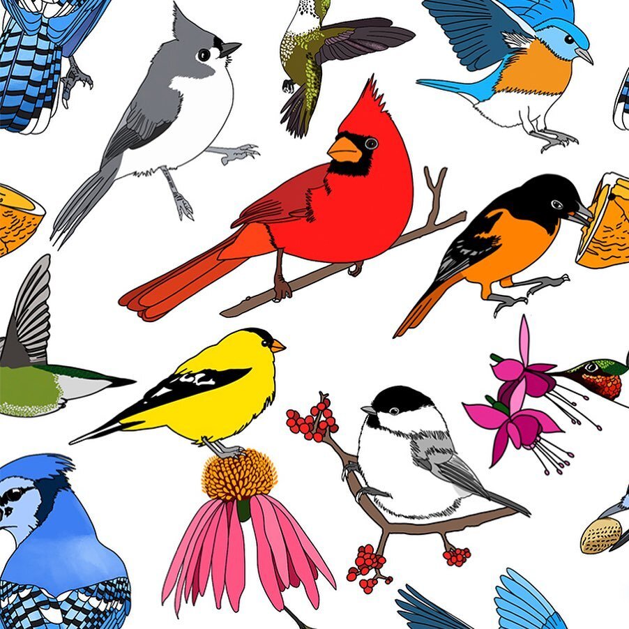 A new Backyard Birds seamless pattern I&rsquo;ve been working on&hellip;swipe to see it tiled. I may need to make some wrapping paper!
.
.
#birdlover #birdloversofinstagram #patterndesign #animalartist #illustrationartist #cnyartist