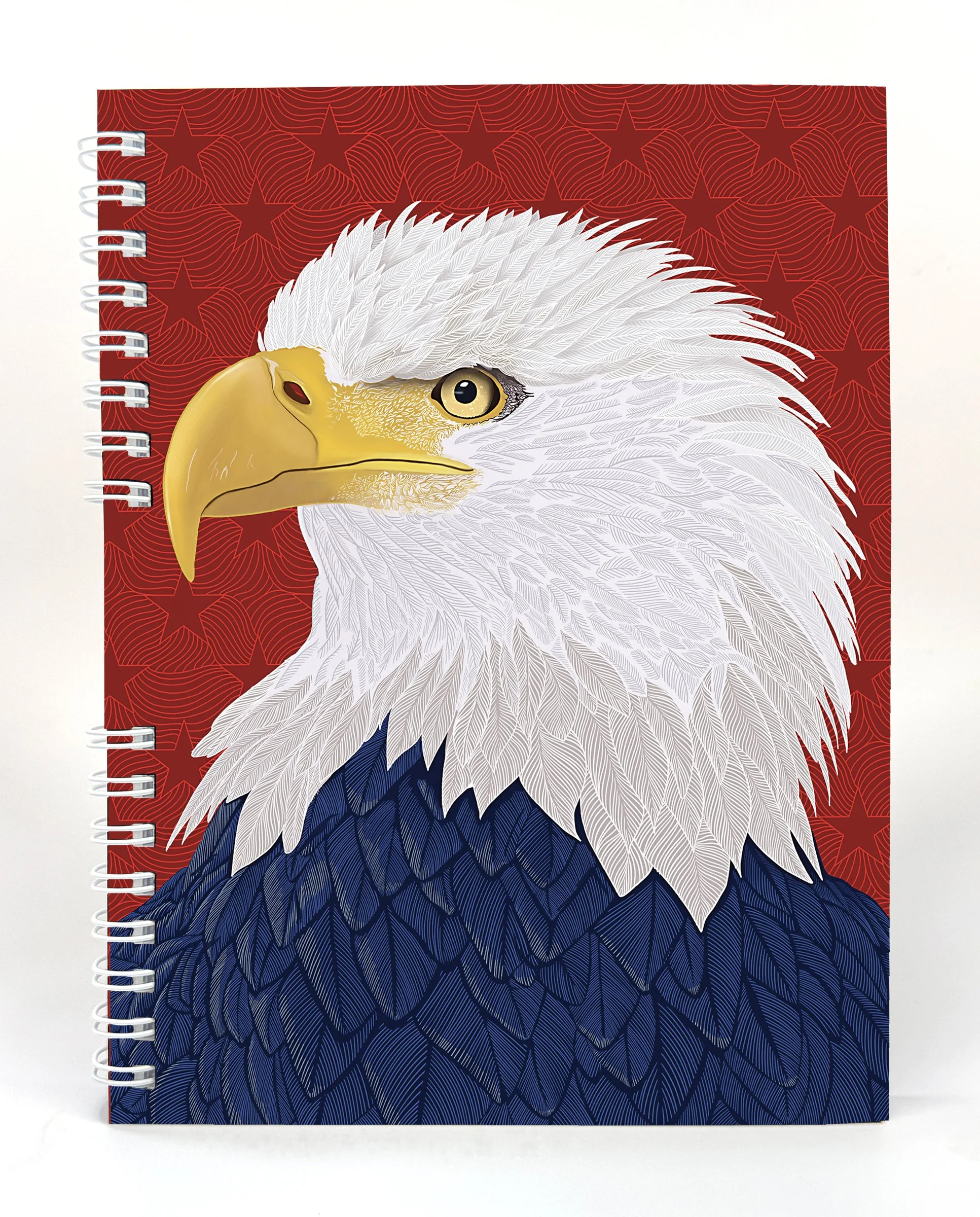 JD-6009_Eagle_front.jpg