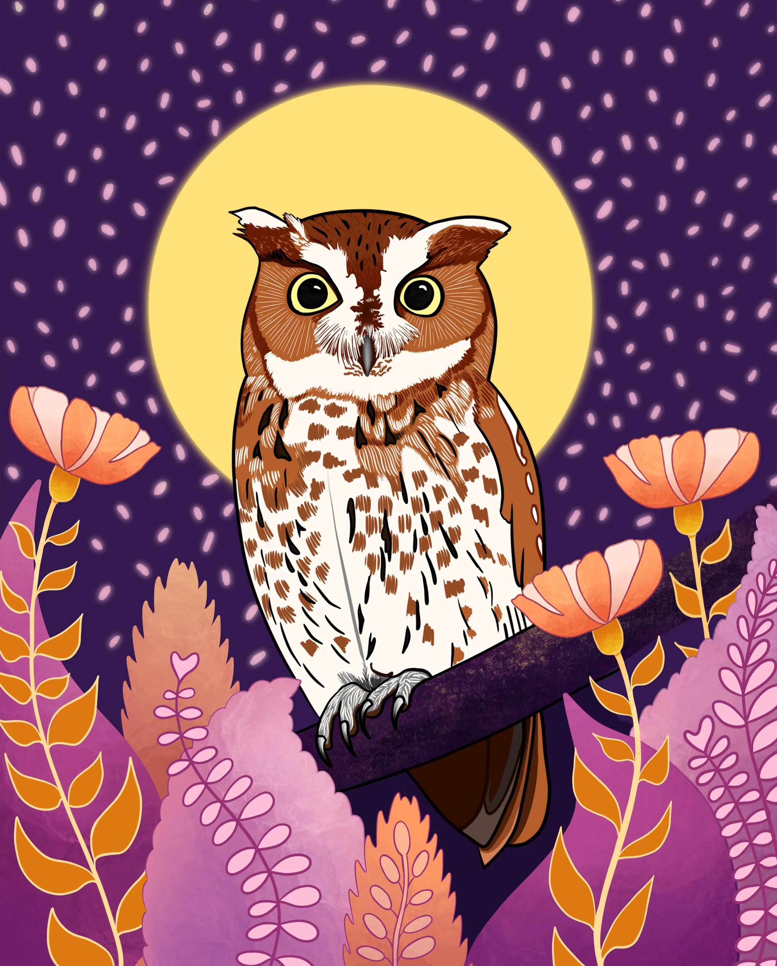 ScreechOwl.jpg