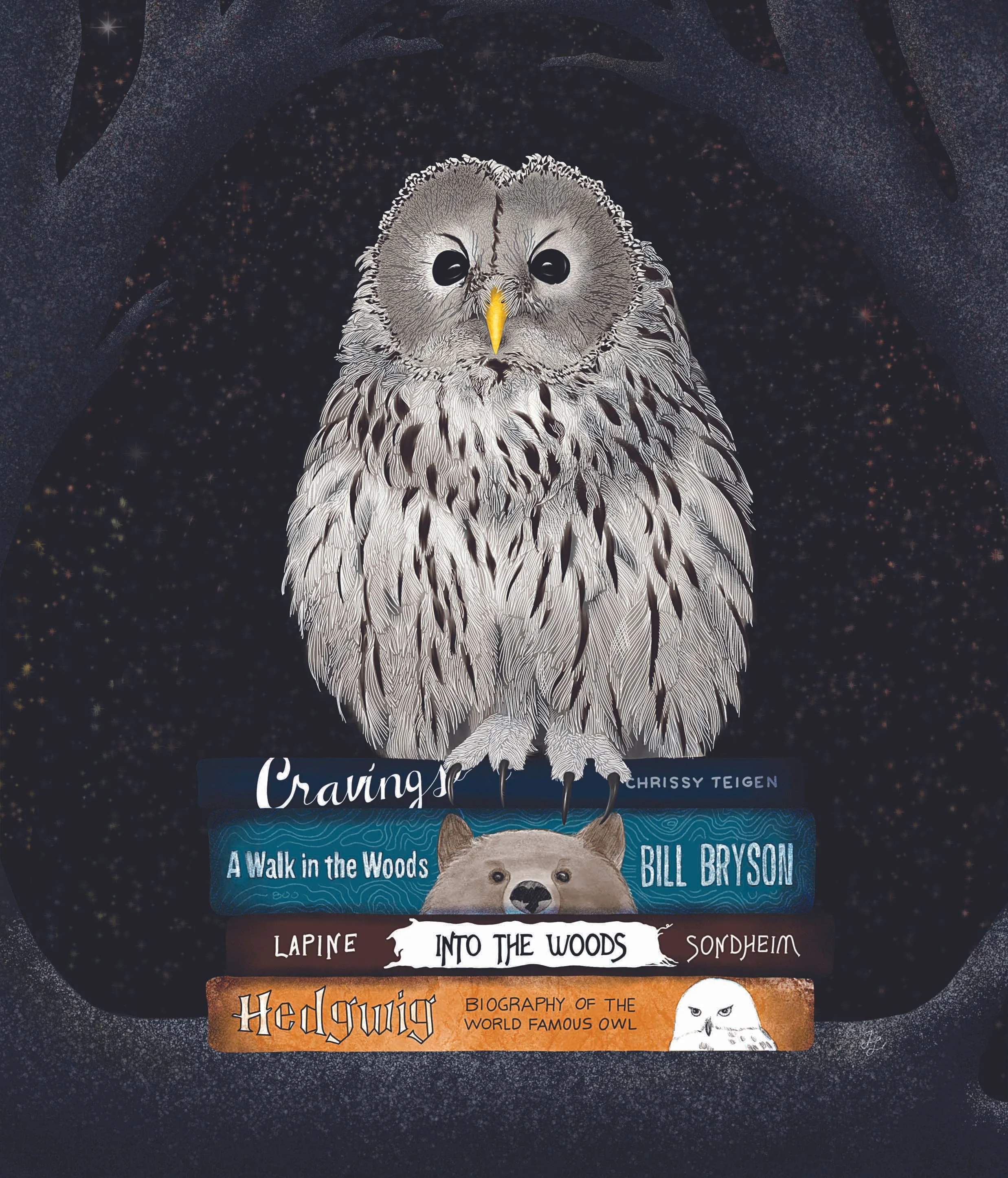 Ural owl's bedside reading