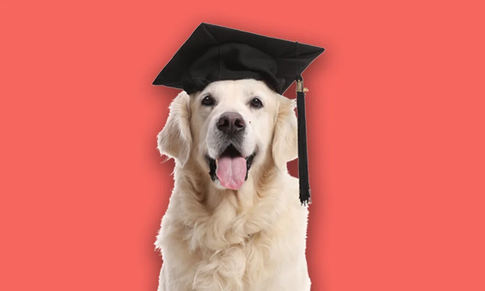 Underemployed: My secret new job