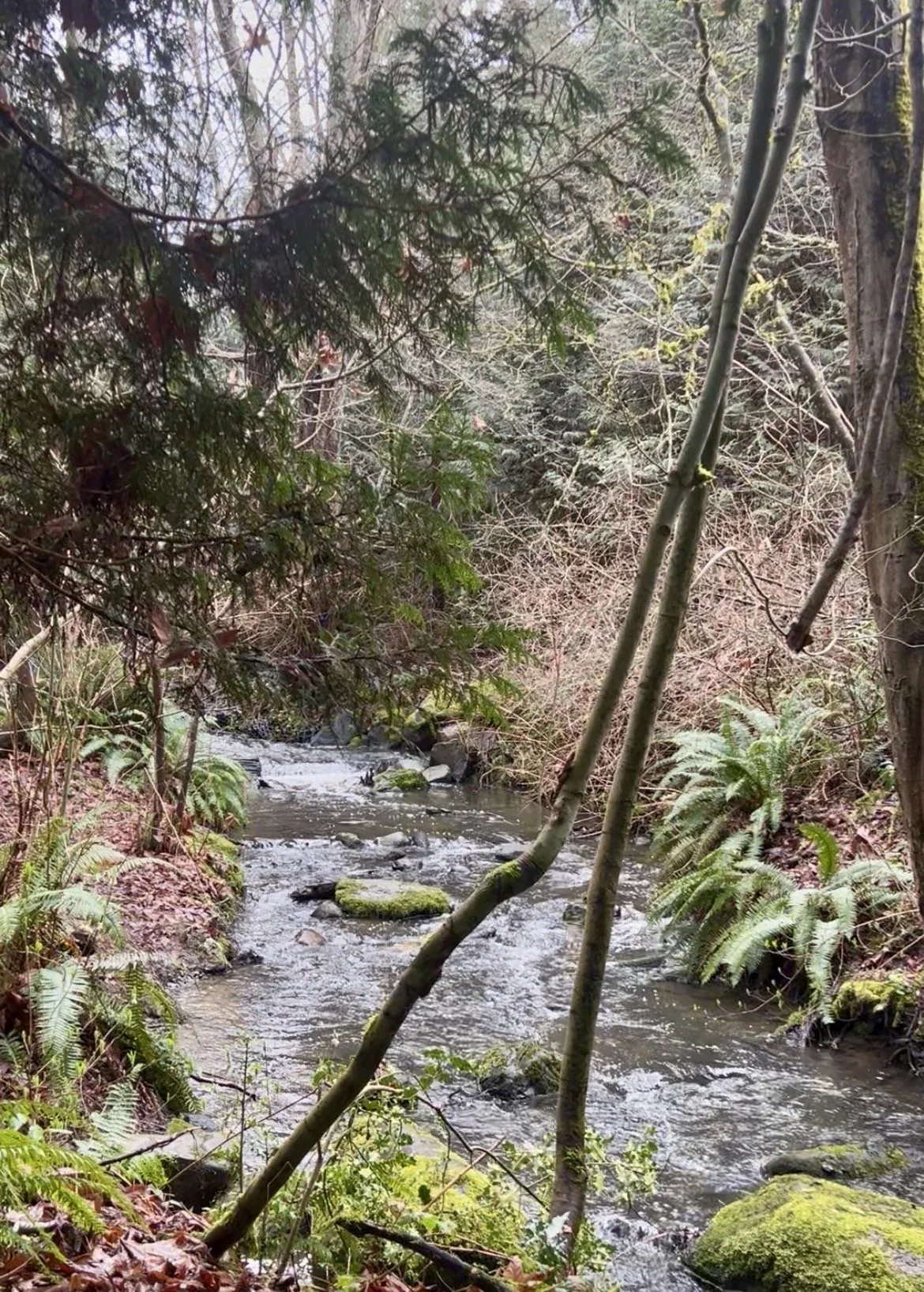 Yang Movement, Yin Fluid 