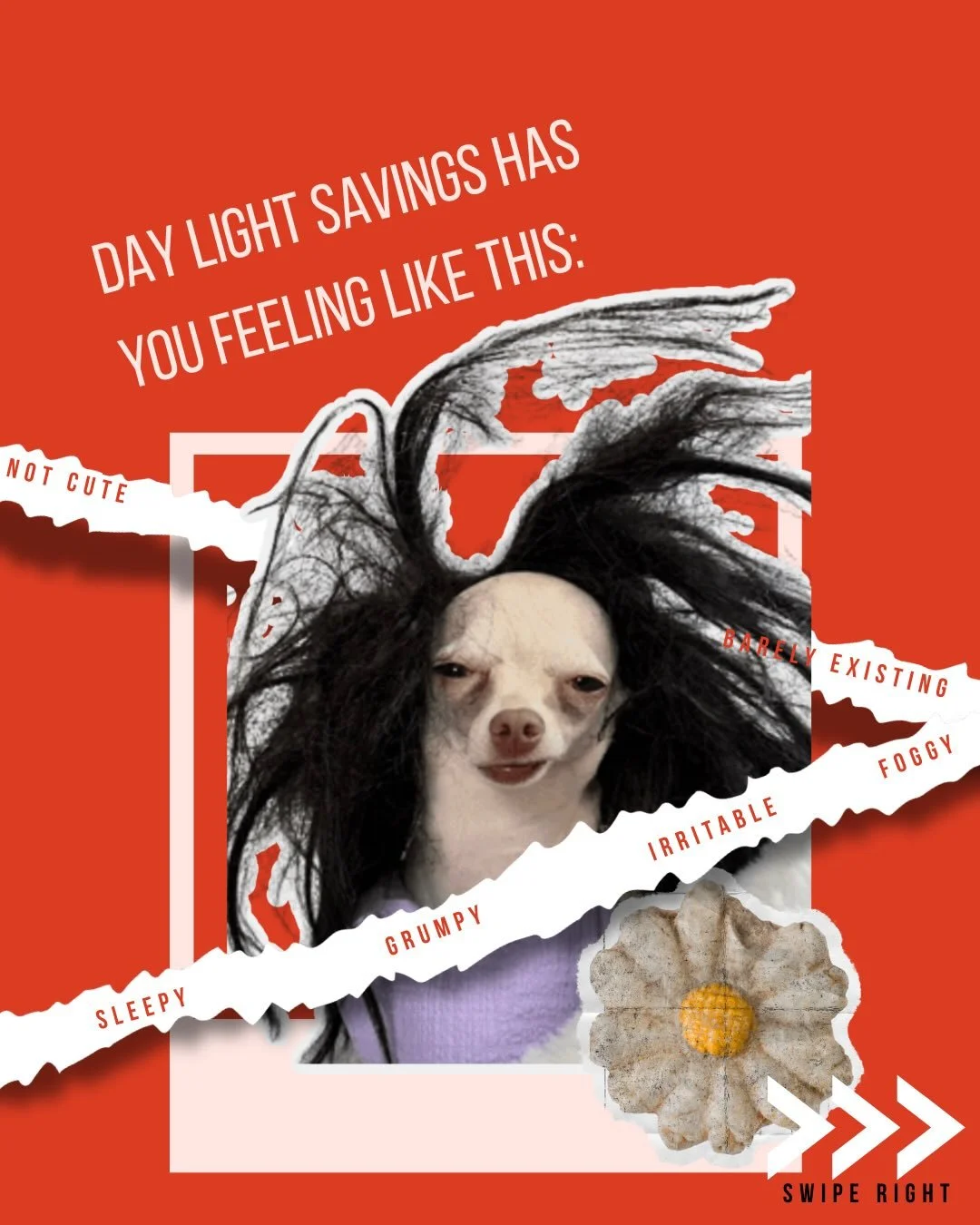 Does this daylight savings have you feeling haggard? Tired? Sleepy? Brain fog? All of the above? 

Come find your missing hour of rest at acupuncture!

Acupuncture is wonderful at resetting your nervous system and calming your body down and recouping