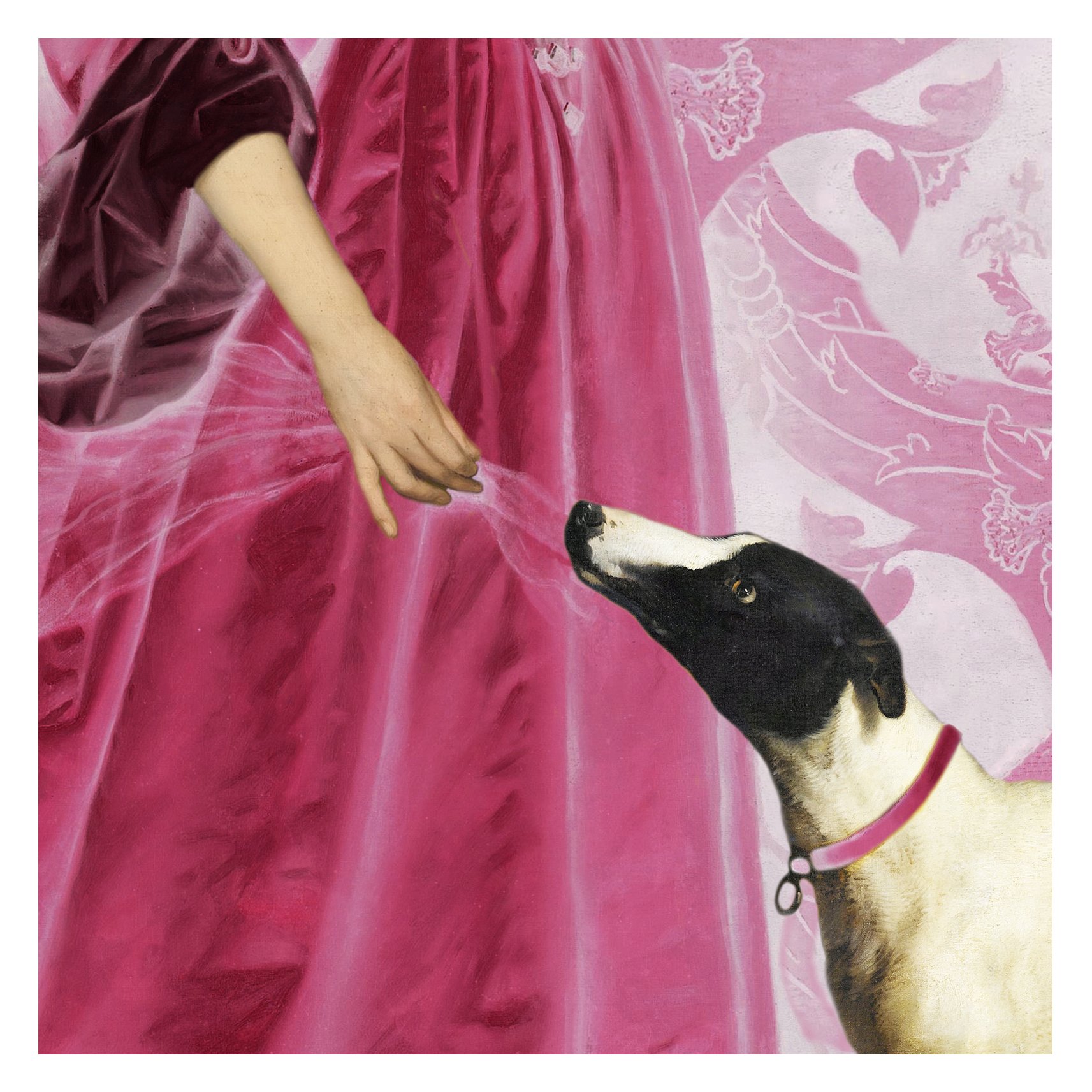 11 veil & hound notecard pink.jpg