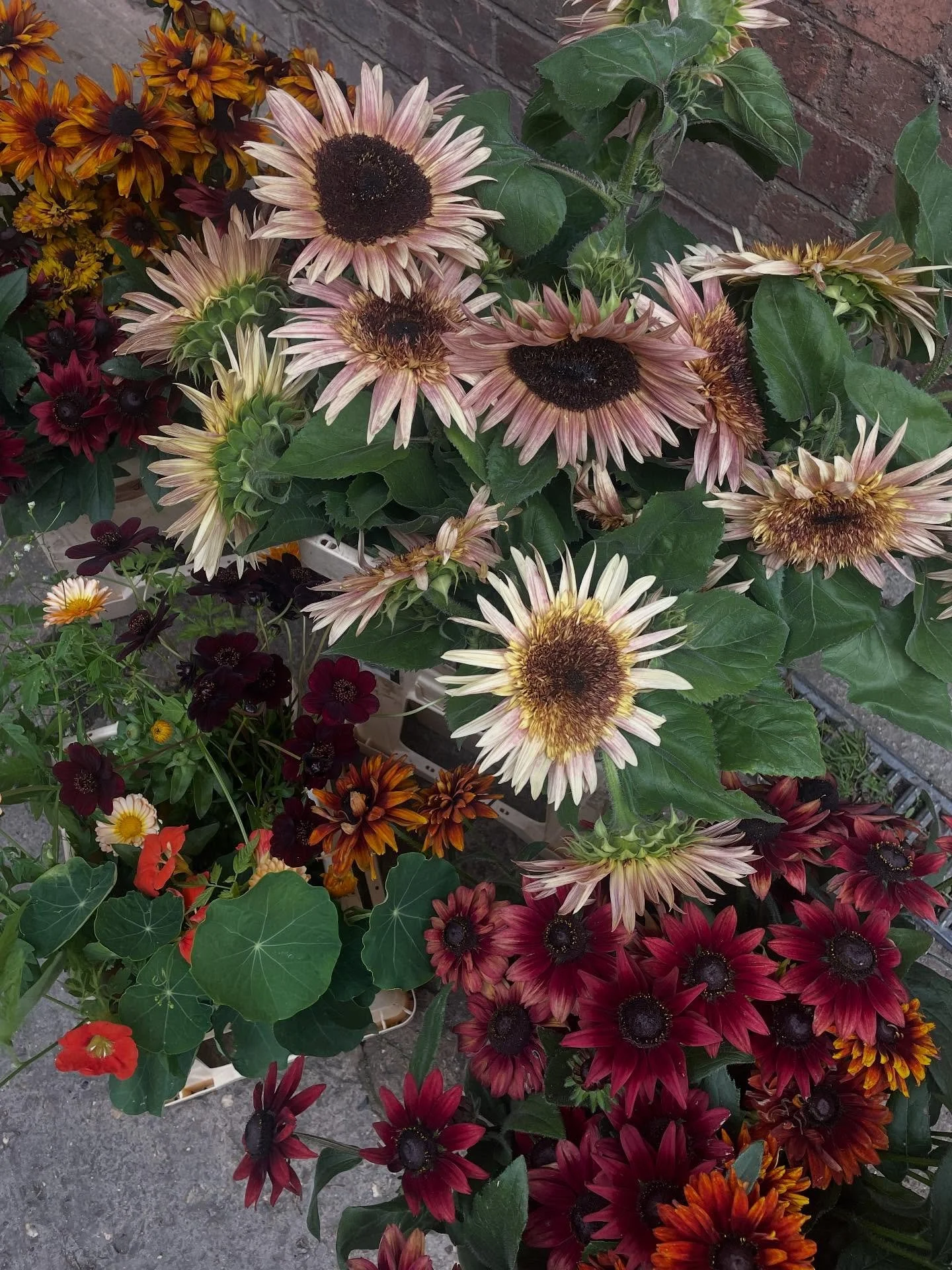 One of my favourite palettes from this Summer&hellip; or maybe ever? Our bride loved sunflowers, so we worked in as many special varieties as we could and paired them with Rudbekia, Marigolds, Nasturtiums and Crocosmia for their delicate spires. Yell