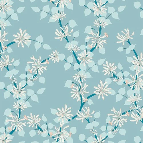 Coastal Jasmine GBR 31505