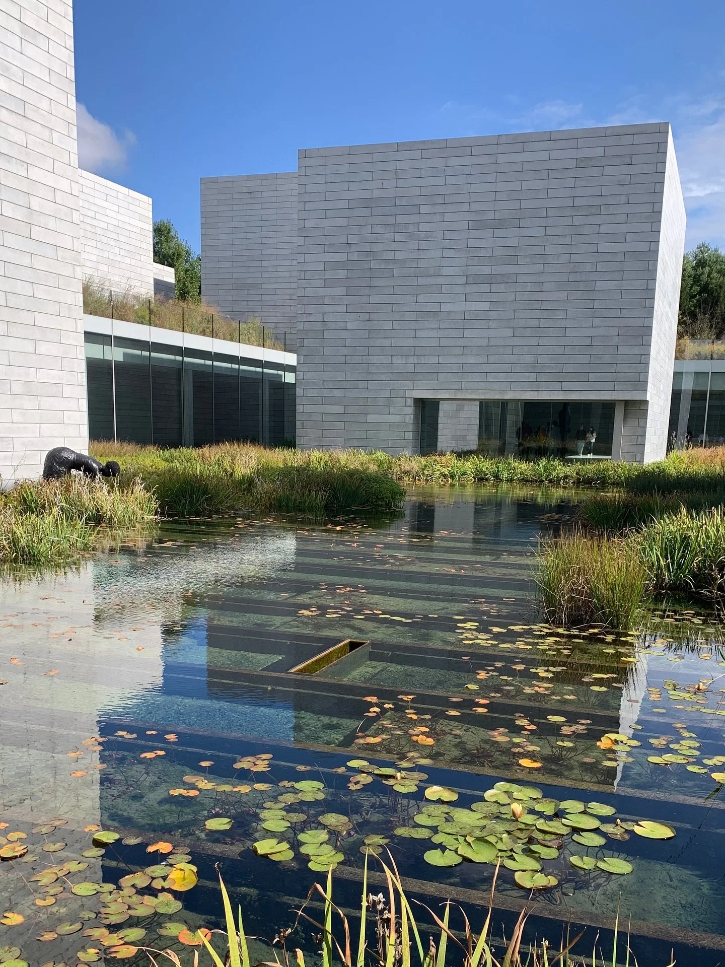 Wow! First time at The Glenstone in Potomac, MA. Highly recommend this outdoor sculpture park and private museum. Large works by big names, great changing exhibitions (we saw @jennyholzerstudio), a delicious cafe and gardens and vistas to sooth the s