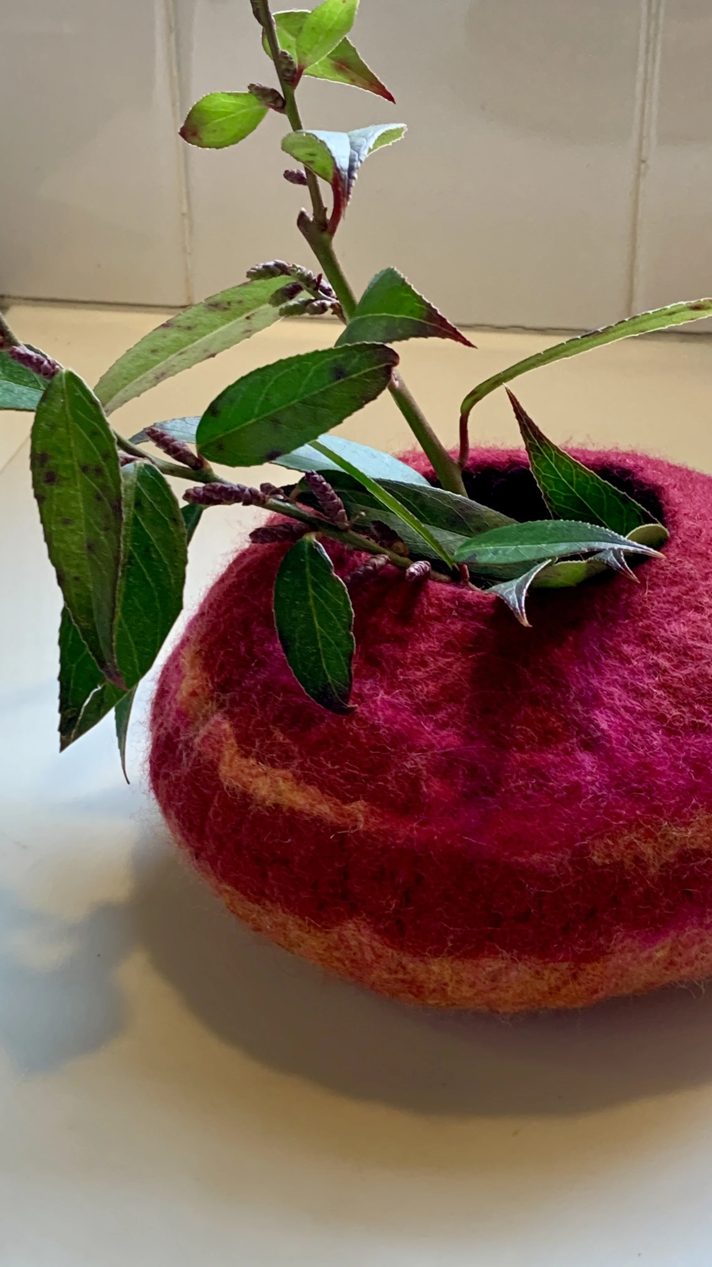 Wet Felt red:Orange Pod with plant.JPG