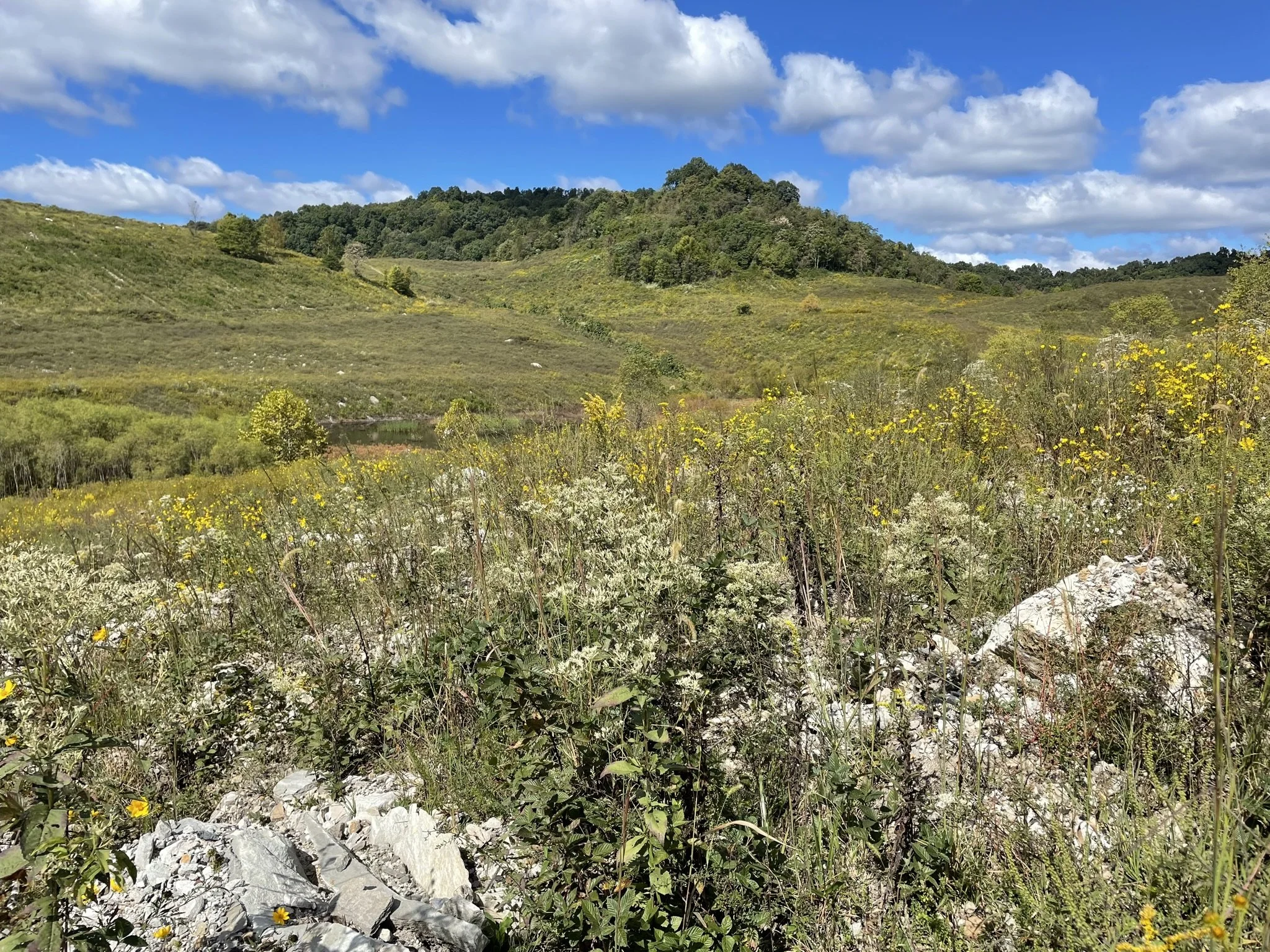 West Virginia Native Plant Society