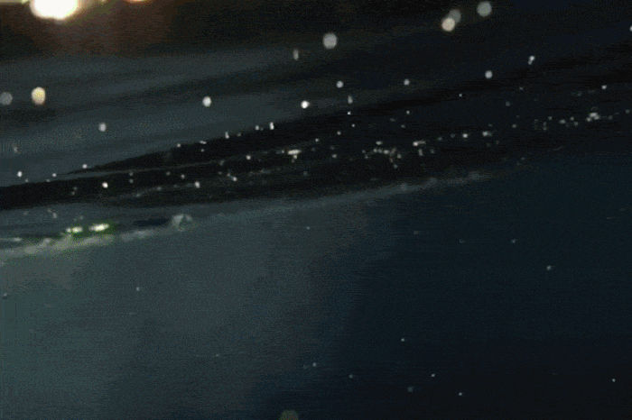 Miami_Video_Thumb.gif