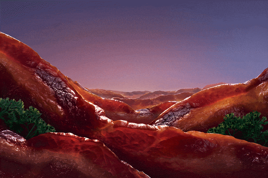 OscarMayer_Bacon_nologo.gif