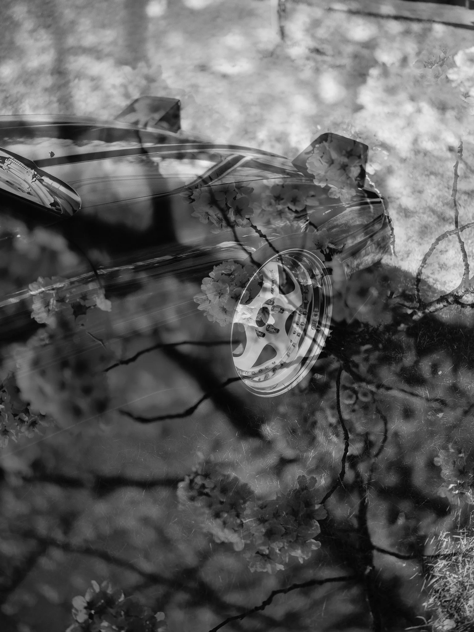 DSCF4968.jpg