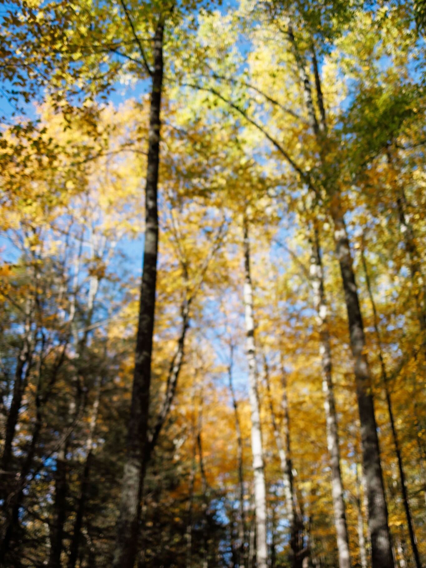 Setting the tone for an upstate fall weekend wedding gallery with location photos to give a sense of the place and beauty surrounding the event. @ashokancenter 

#fallwedding #hudsonvalleyweddingphotographer #weddingdetails #campwedding