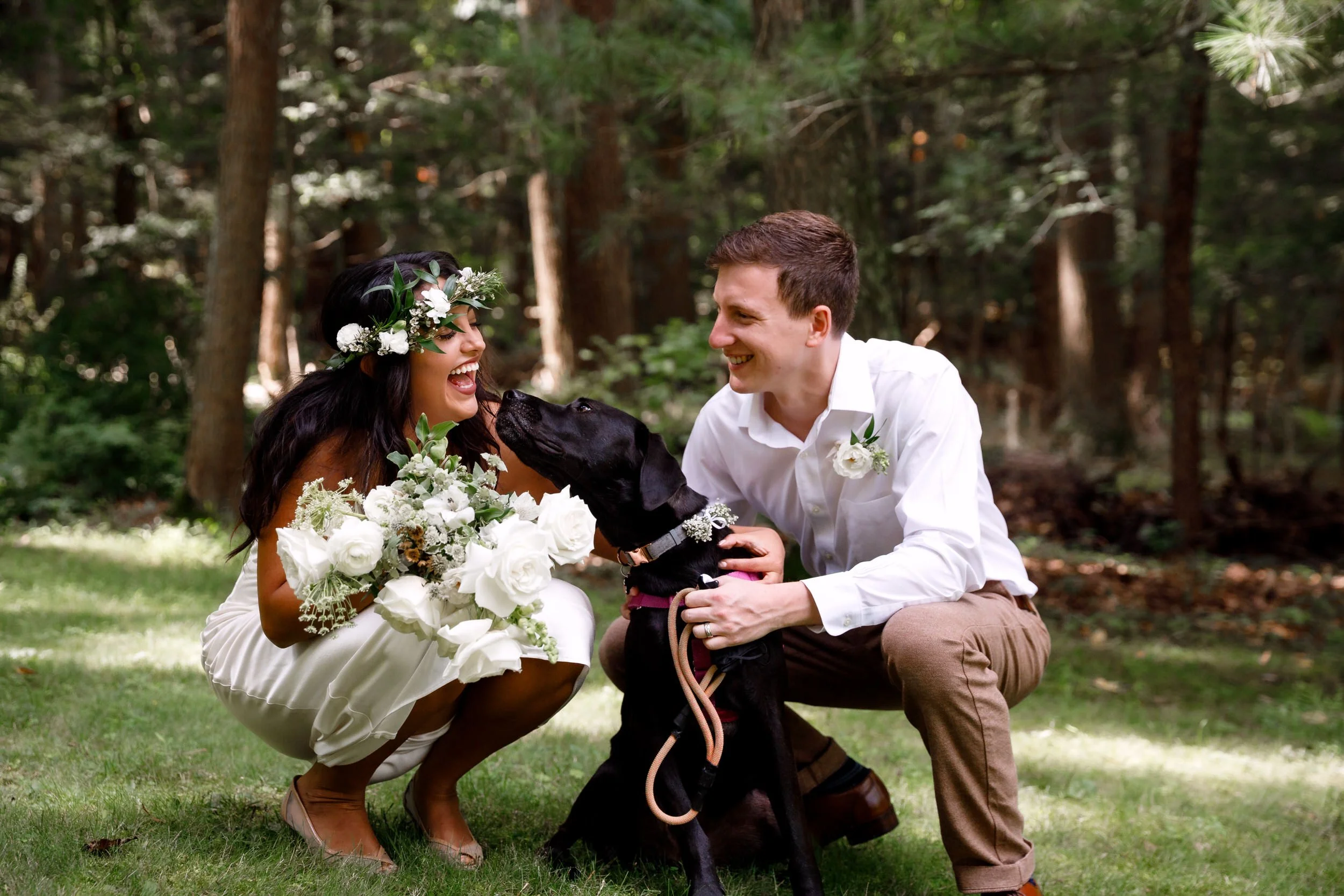 A wedding couple laughing as they squat down to pet a dog 