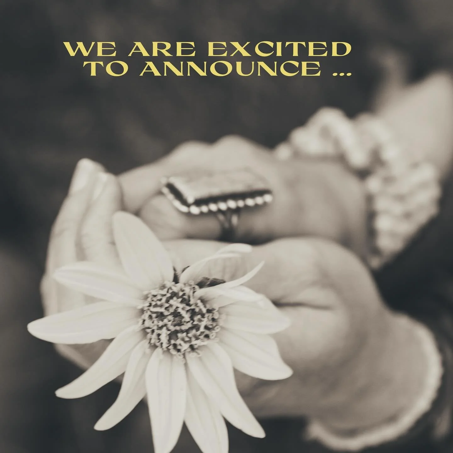 We are excited to share that our album Mantra Mala Vol.1 will be available on all streaming platforms on 8/29! ✨✨✨✨
Please see link in bio. to pre-save 👈
💎💎💎❤️❤️❤️🙏🏼🙏🏼🙏🏼 @21tarascollective @loponchandra @ninaraochant @genevievewalks #21tara