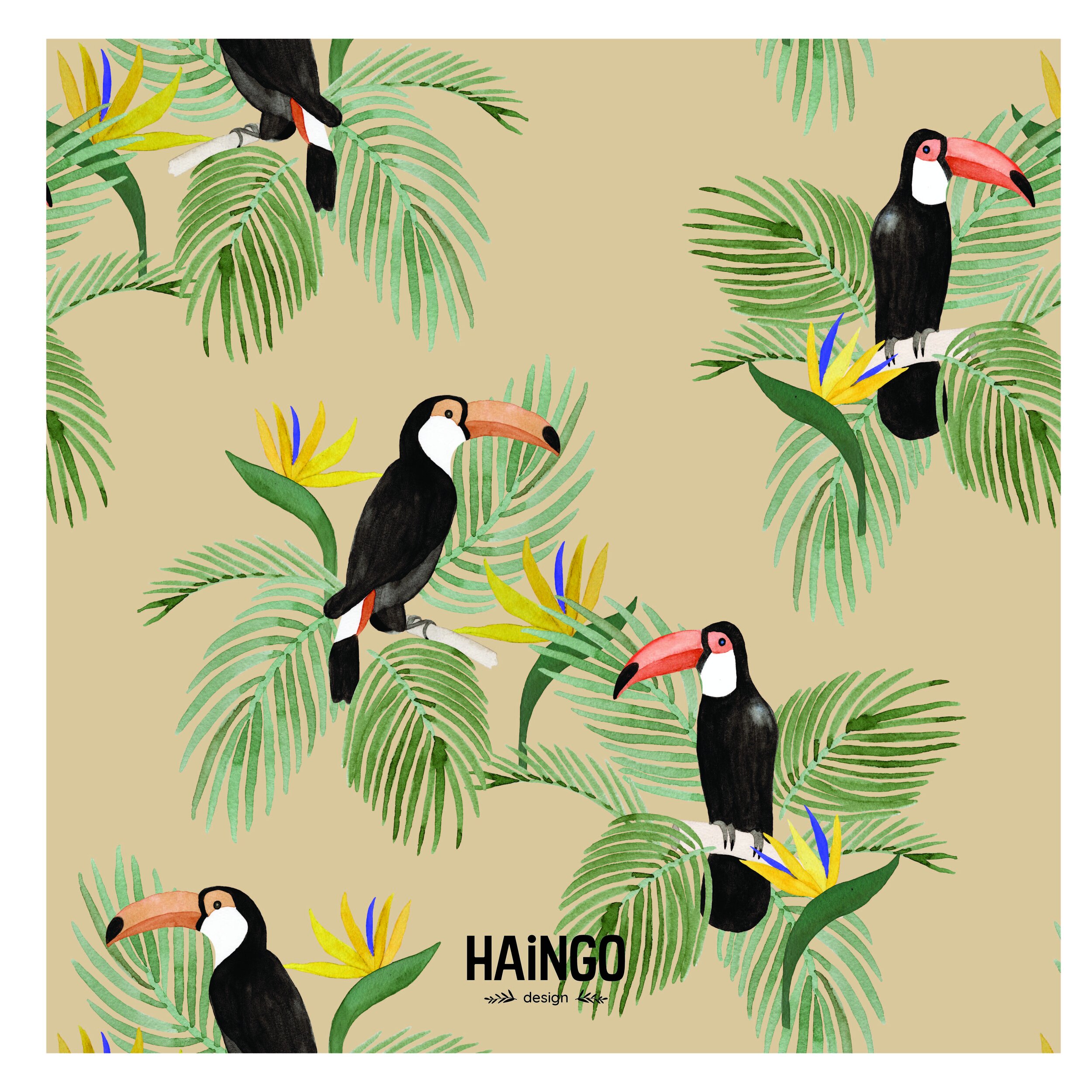 Toucan.jpg