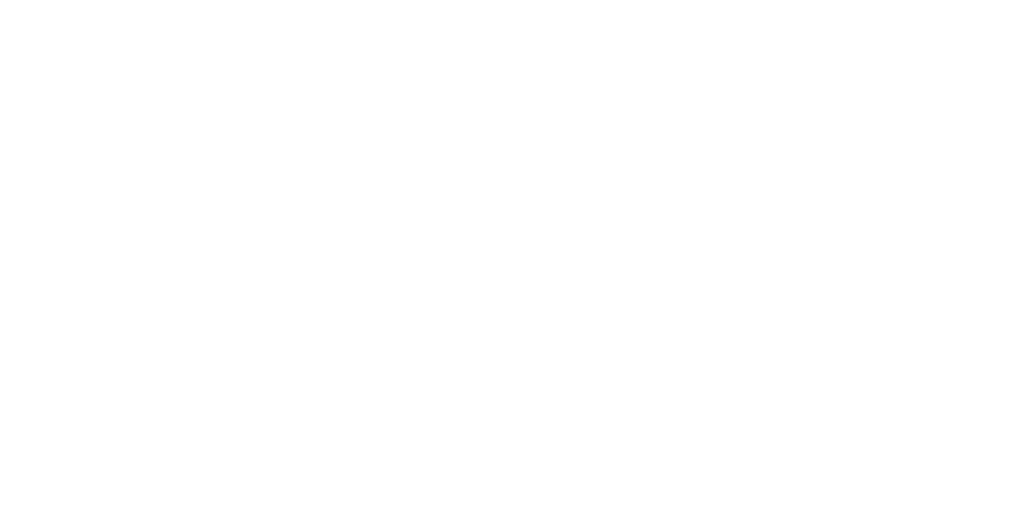 ALLY VISUAL MEDIA