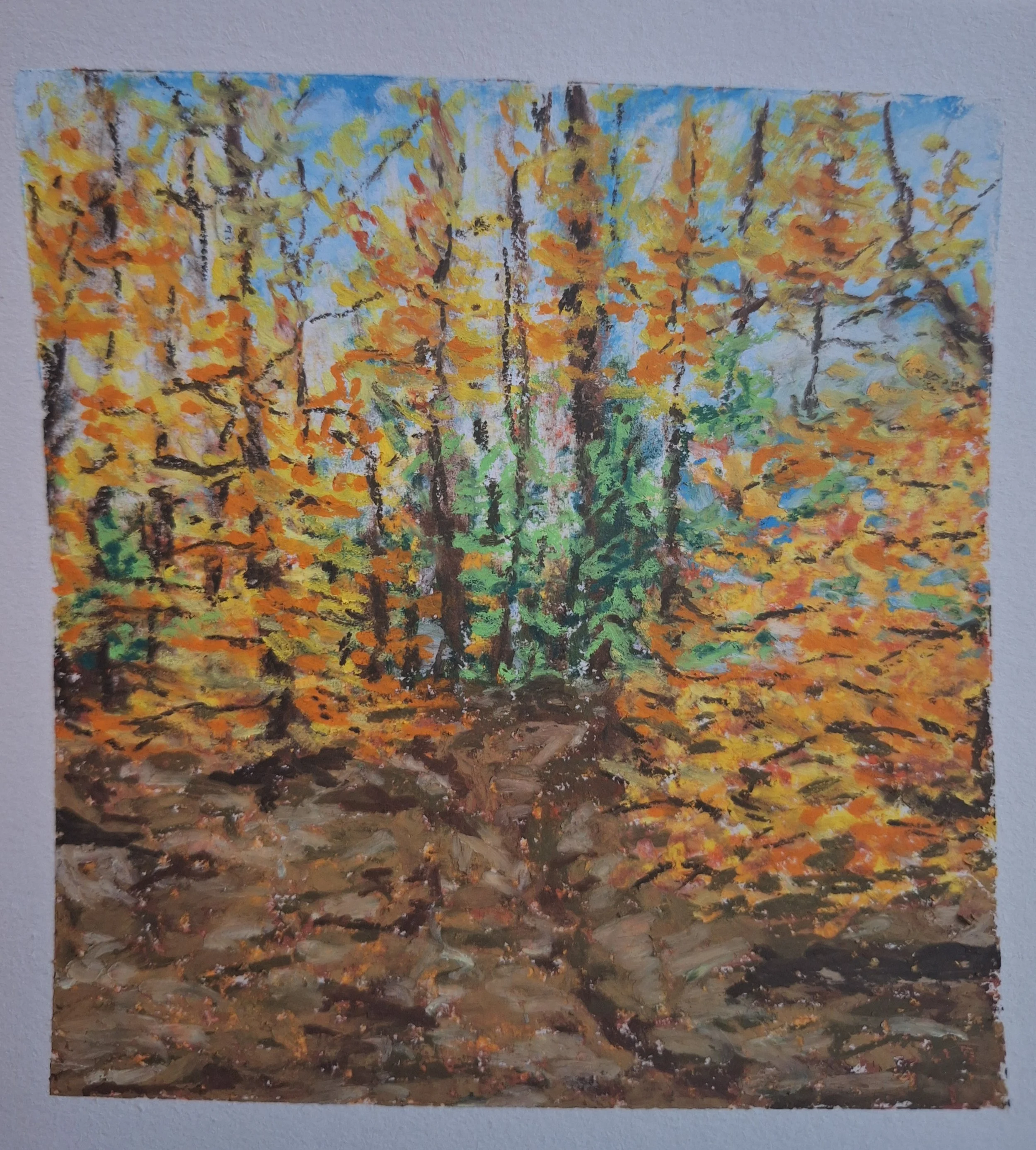 Picture of a pil pastel painting I made. Depicts an autumn forest with a blue sky.