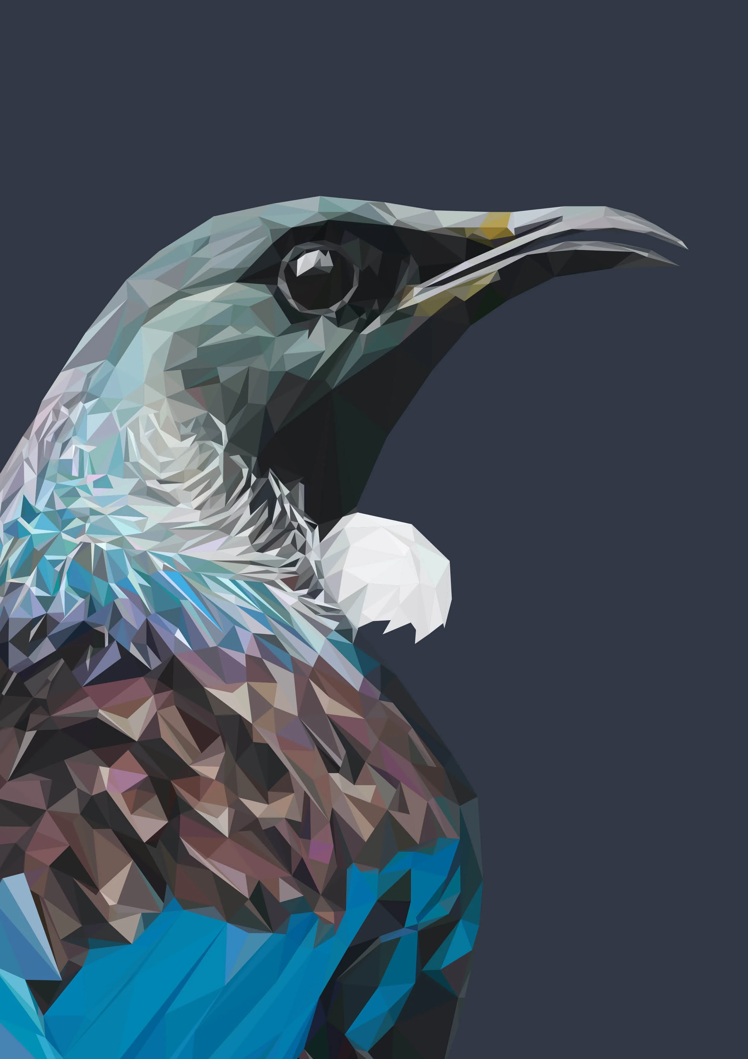 illustrations for the web15.jpg