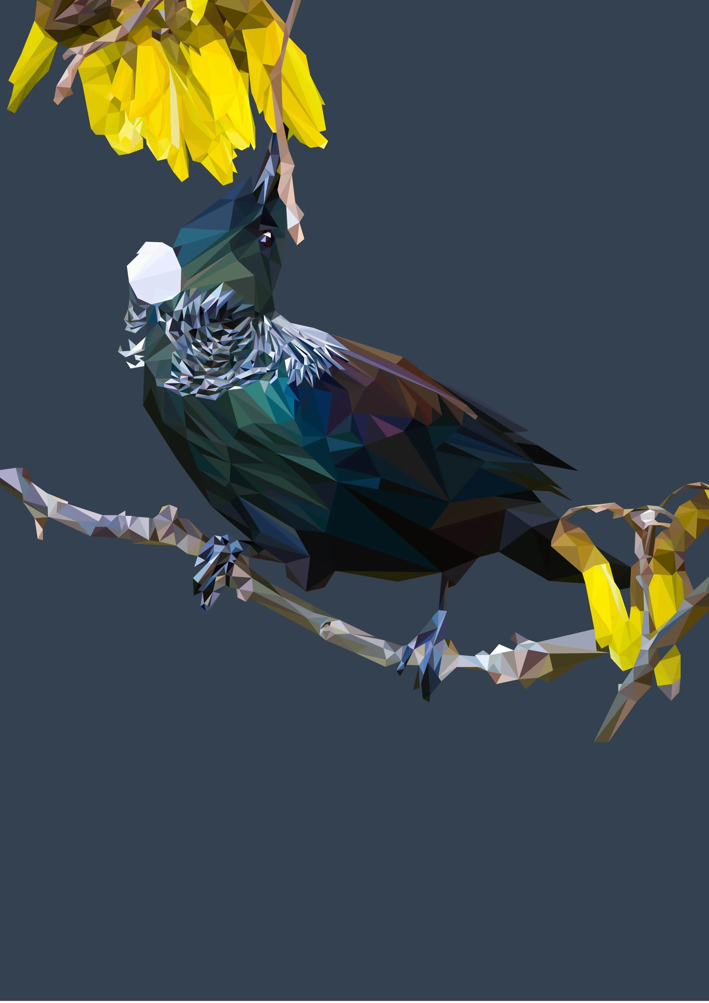 illustrations for the web14.jpg