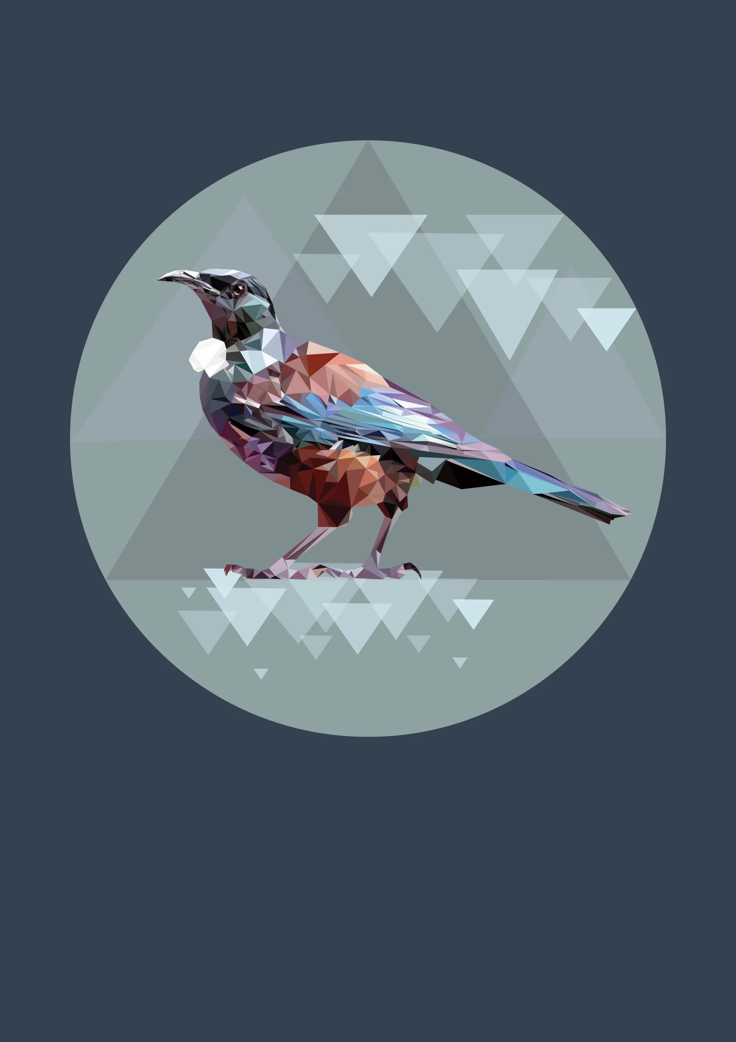 illustrations for the web12.jpg