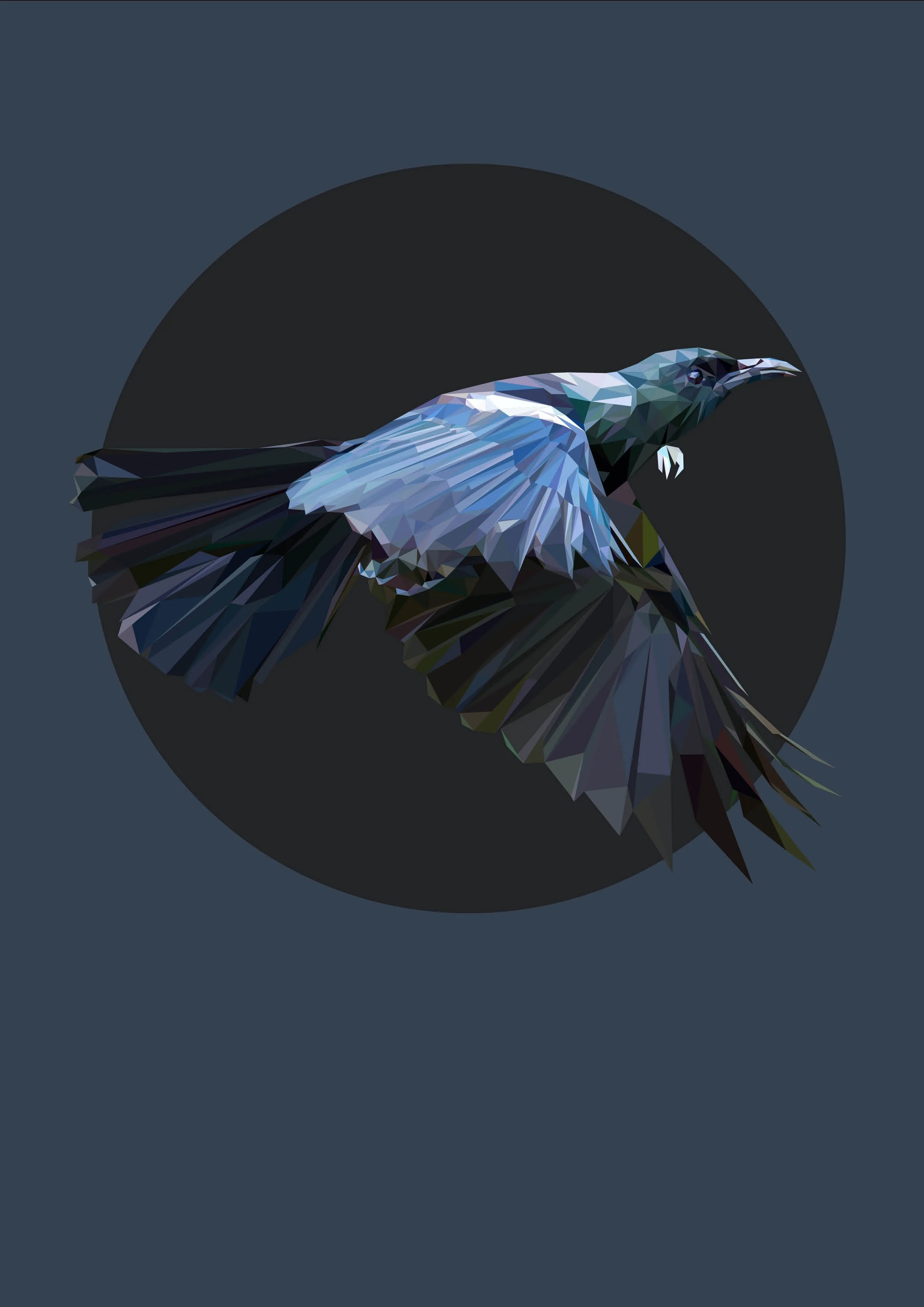 illustrations for the web13.jpg