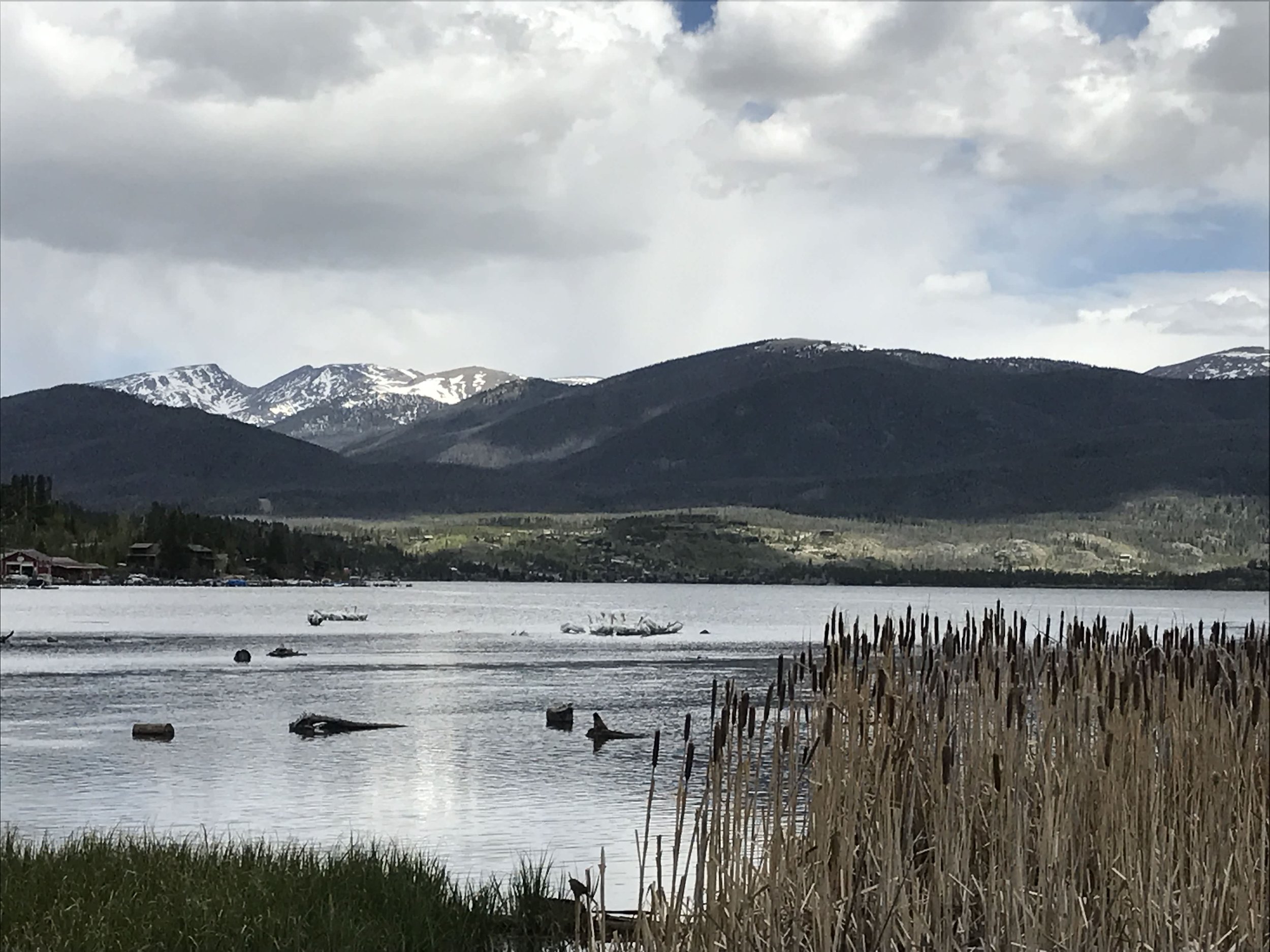 C7377D0D-95E6-4B60-8E13-2A56F1178285.jpeg