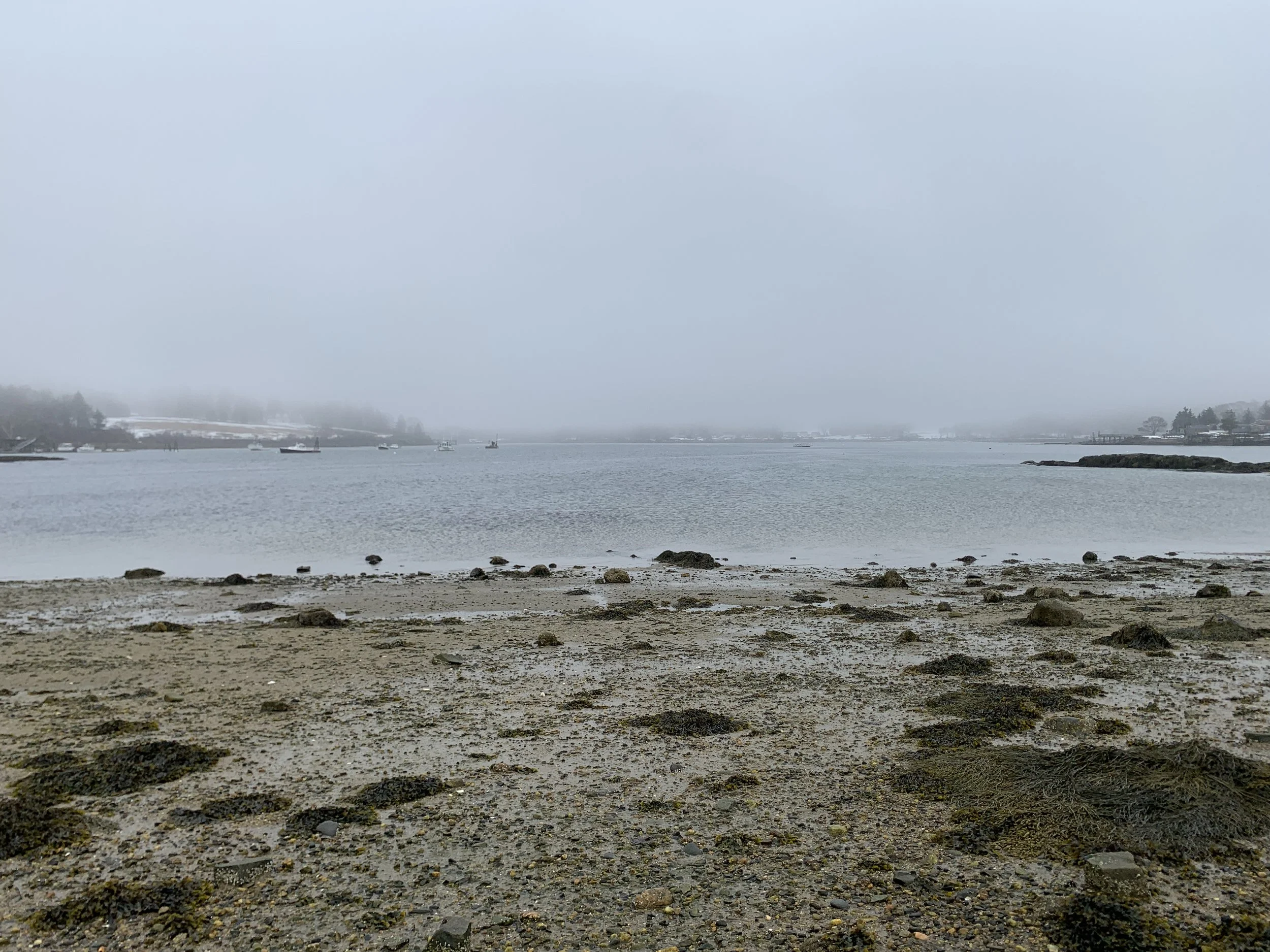 IMG_8813.JPG