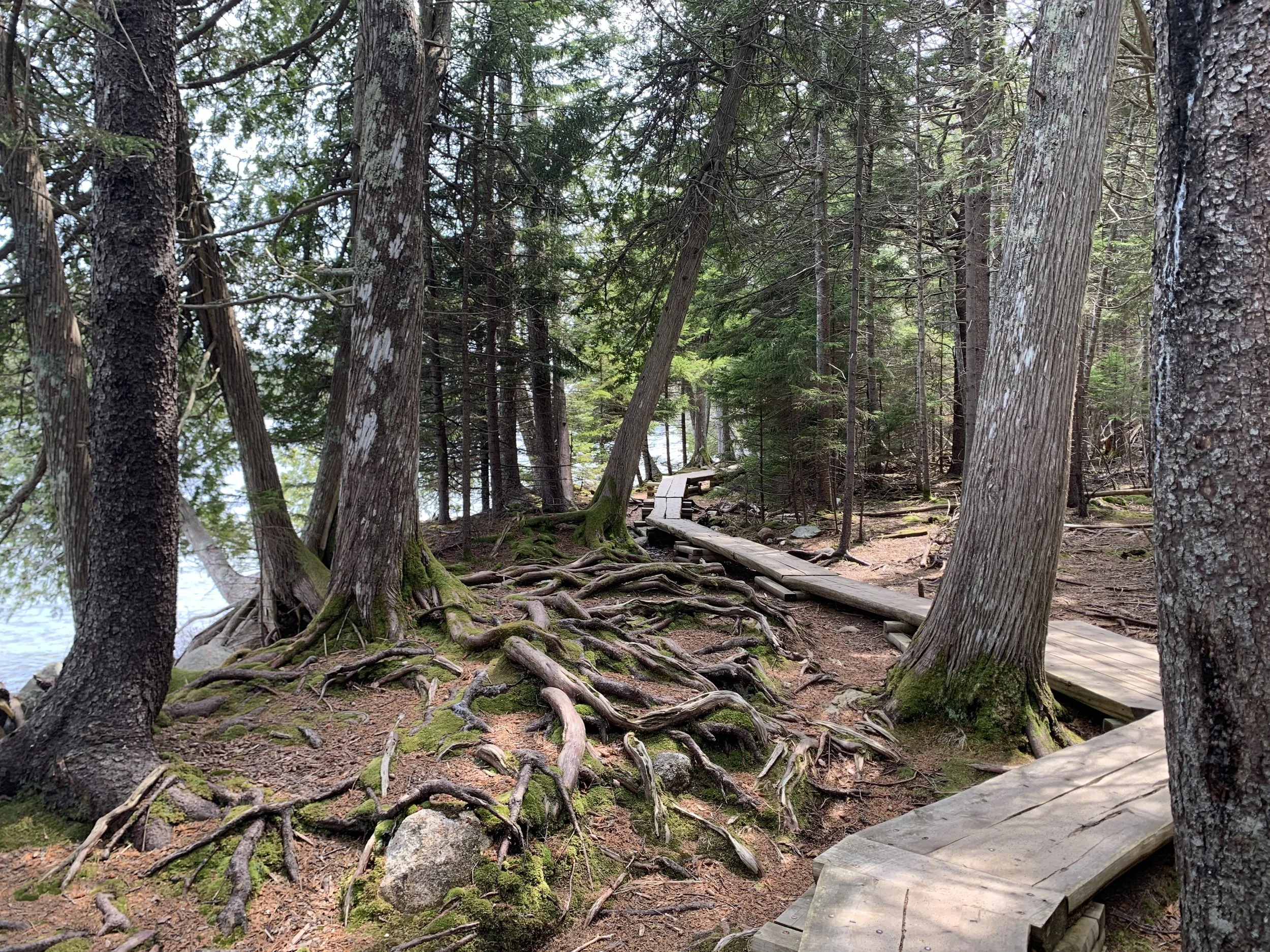 IMG_9880.JPG