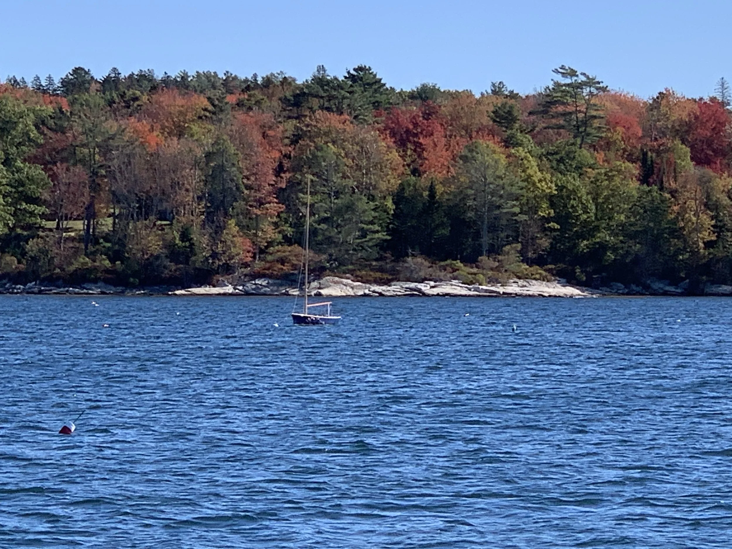 IMG_1692.JPG