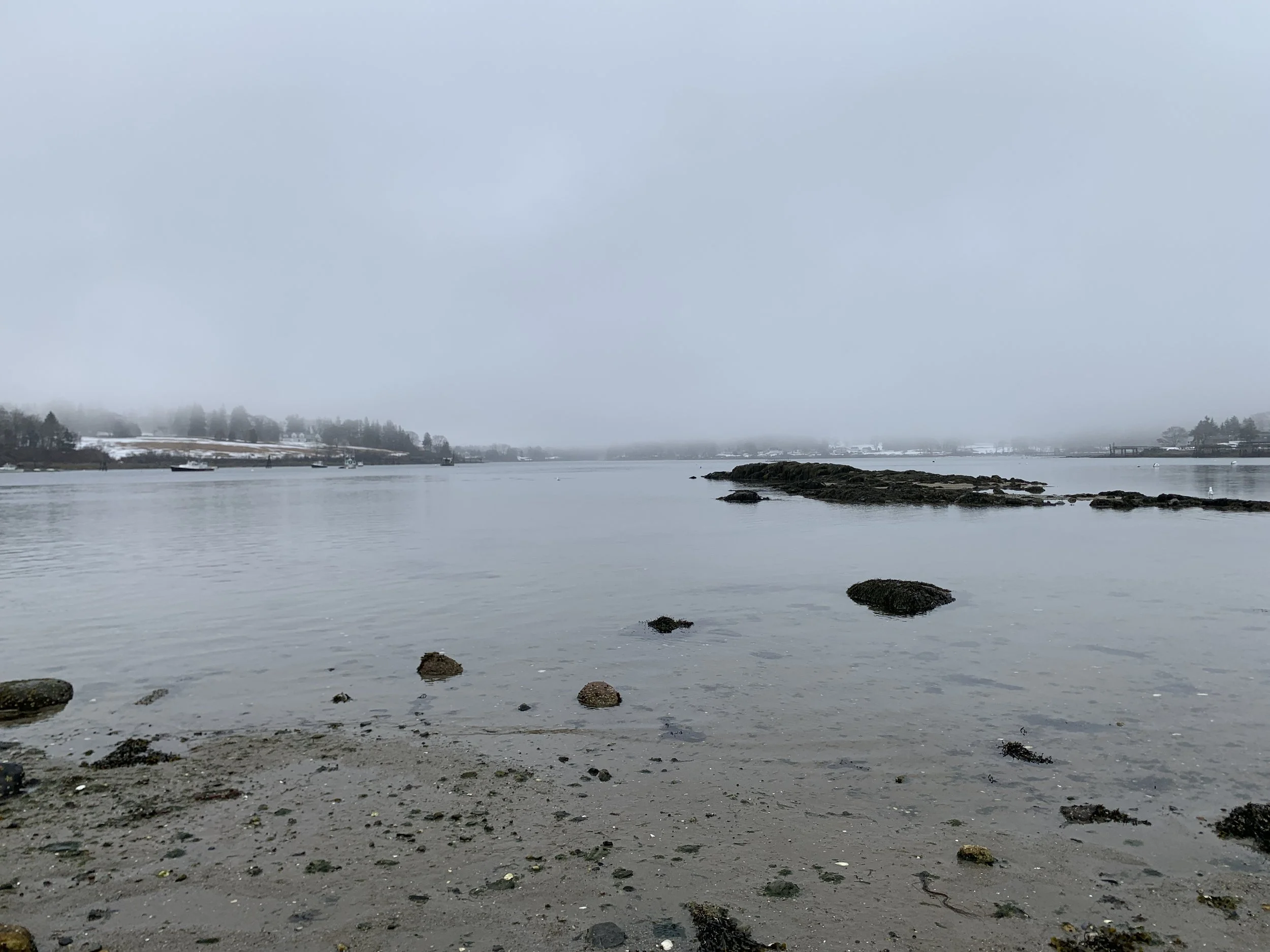 IMG_8773.JPG