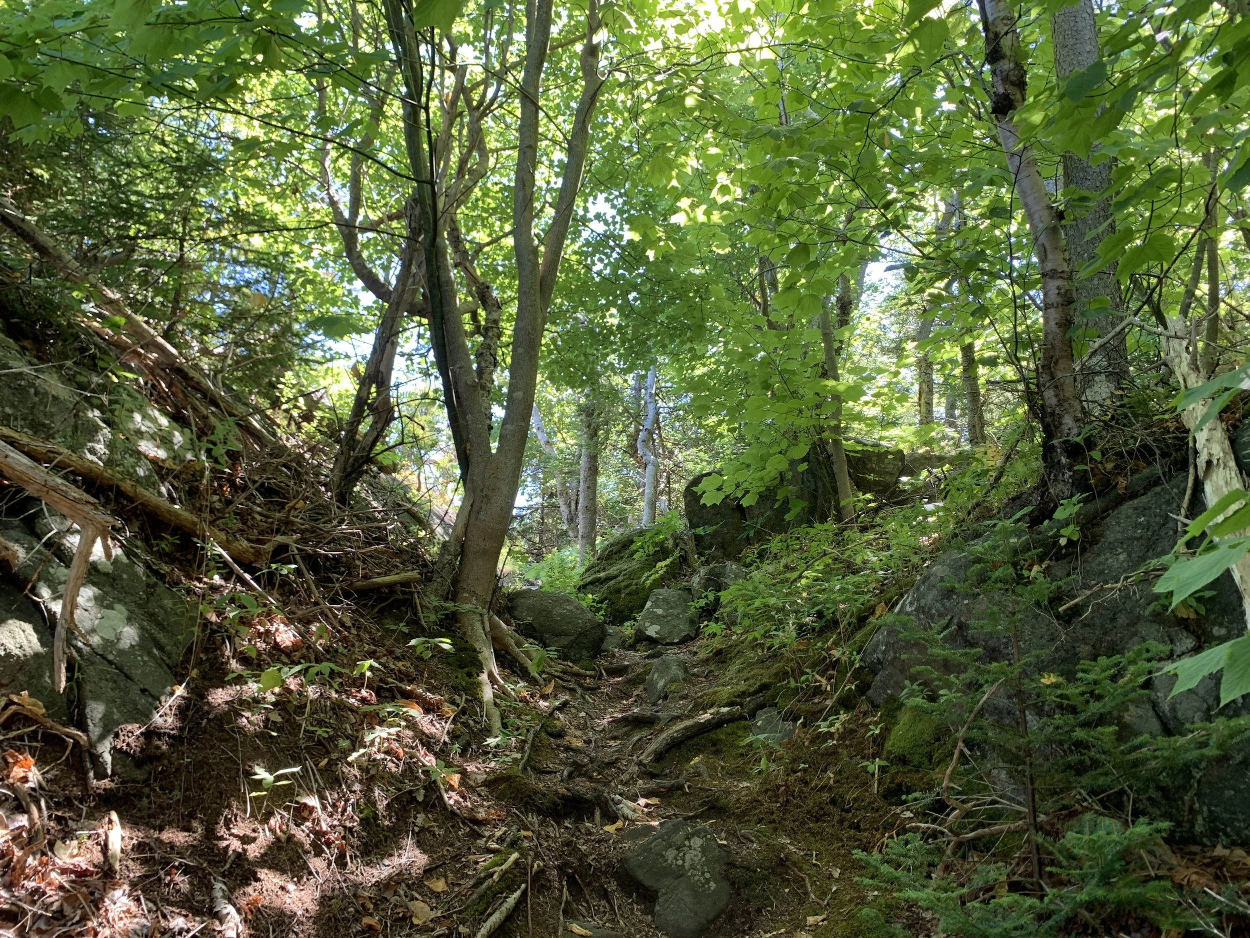 IMG_0984.JPG