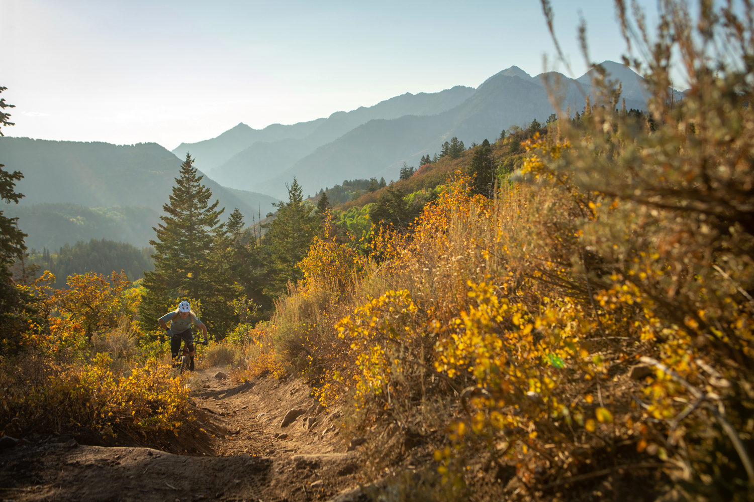 MTB: Park City