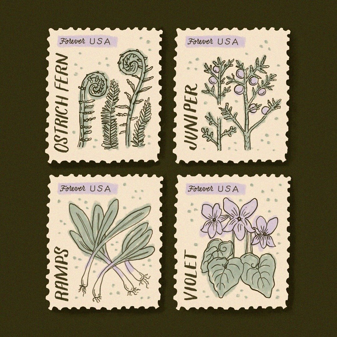 I dream of the day I'll find stamps at my neighborhood @uspostalservice that have local folksy illos like these. And with 16&quot; of snow in the forecast for central Vermont, I needed a reason to draw green things. Foraging season will be in full sw