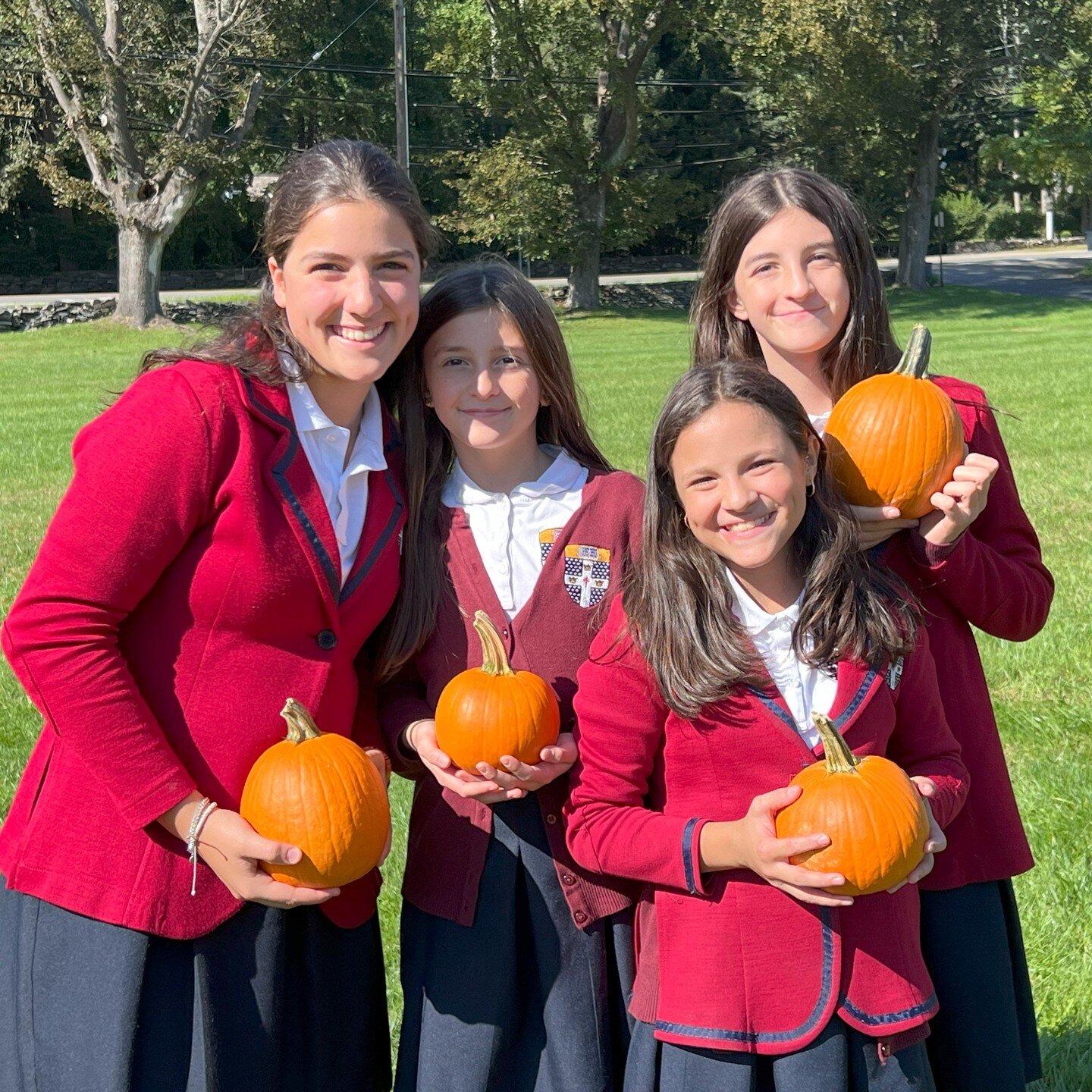 The Hawthorn Fall Party has once again proven to be a resounding success! Our students and friends had fun carving pumpkins and interacting with the animals while enjoying fall treats, apple cider, and cinnamon sugar doughnuts.  #hawthornschool #bedf