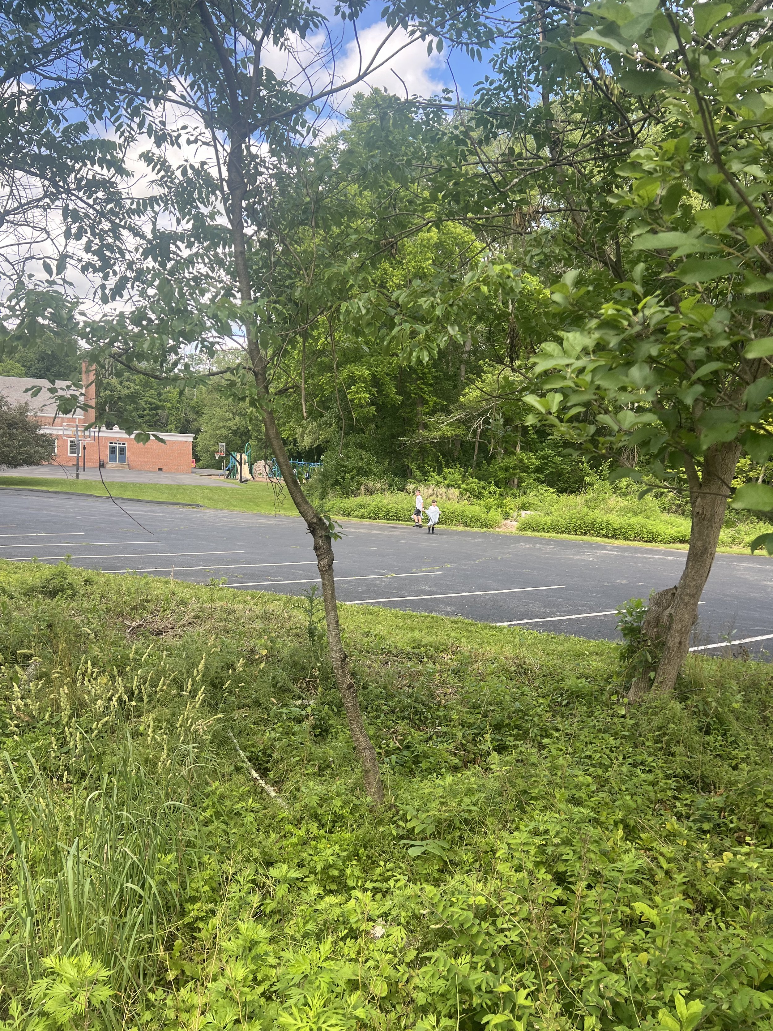 IMG_8265.jpeg