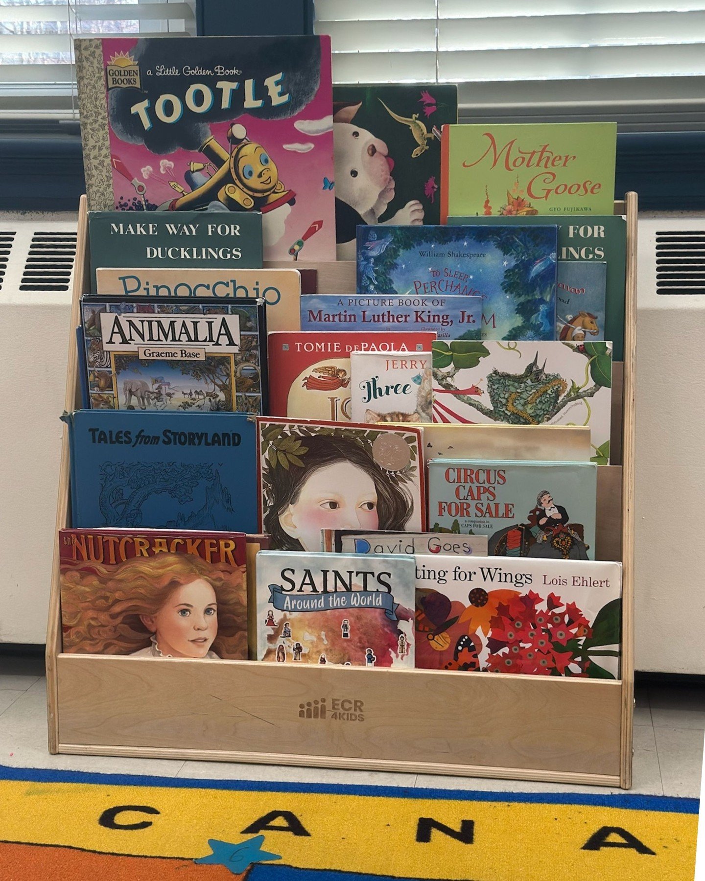 Be sure to check with your child's teacher for age-appropriate summer reading ideas!