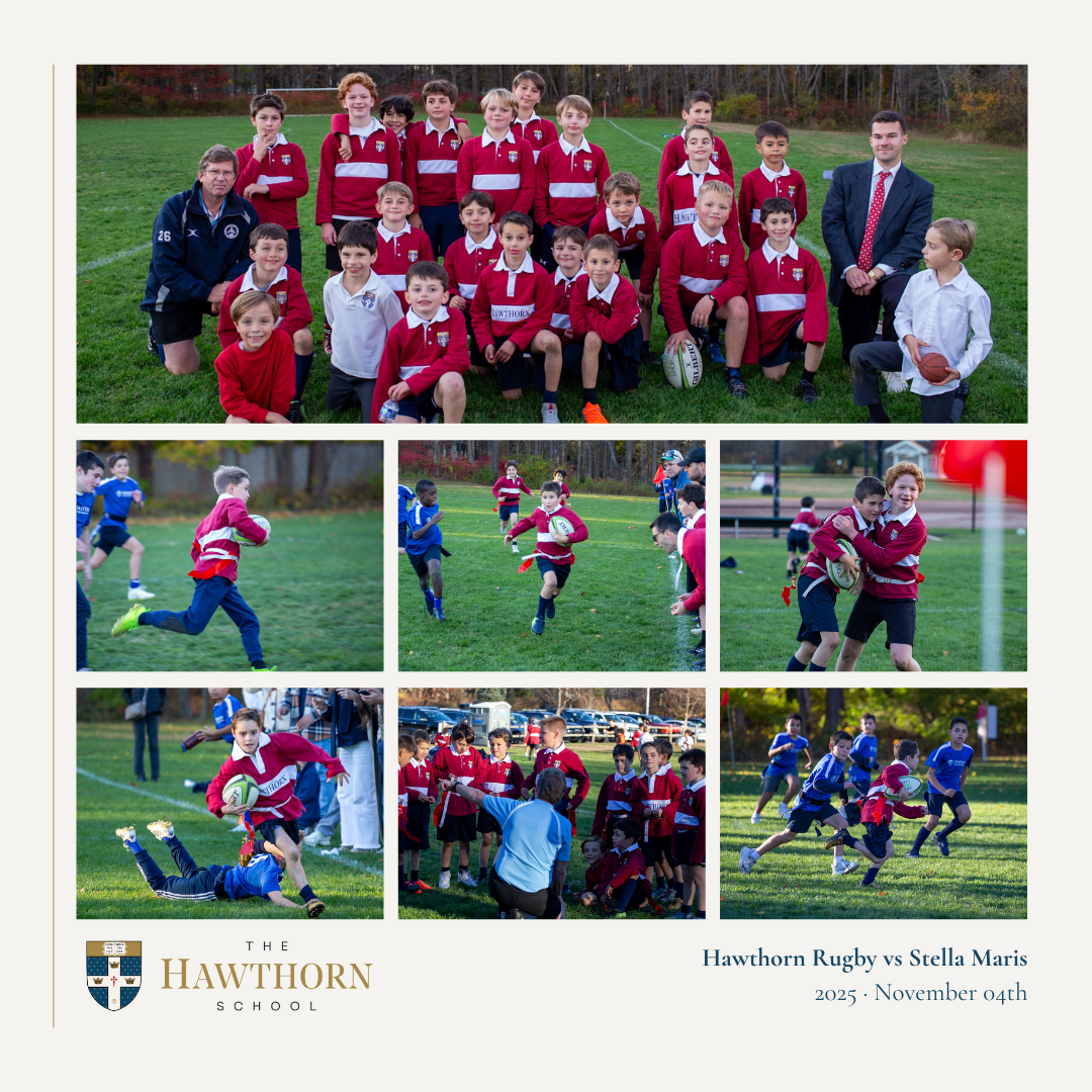 Hawthorn Rugby vs. Stella Maris