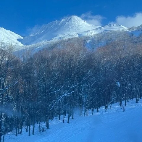 Wish tomorrow&rsquo;s snow day still looked like this one from last week! Hope everyone got back from Japan safe and sound!