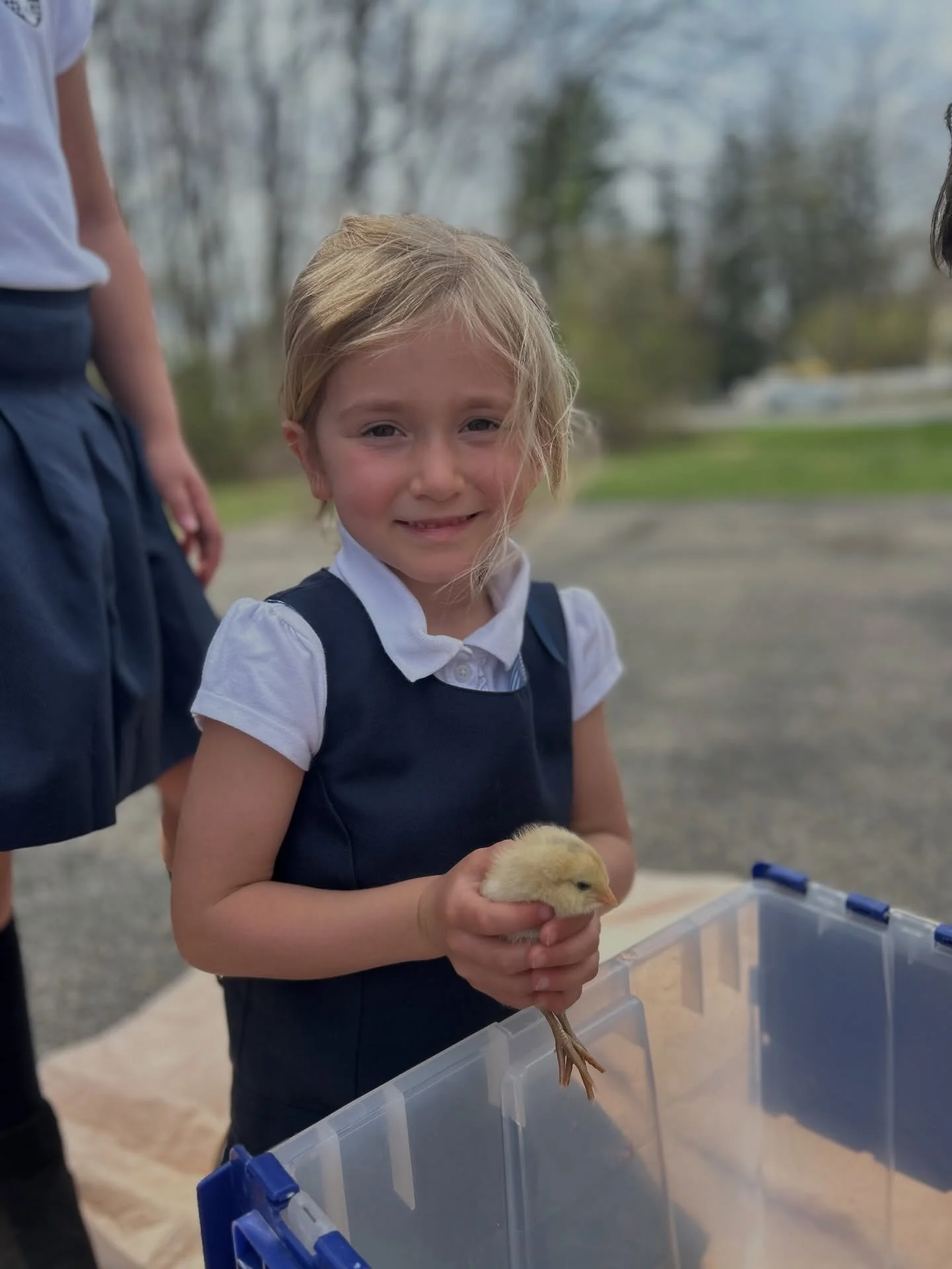 Cuteness overload this week in Nature Study 🐥