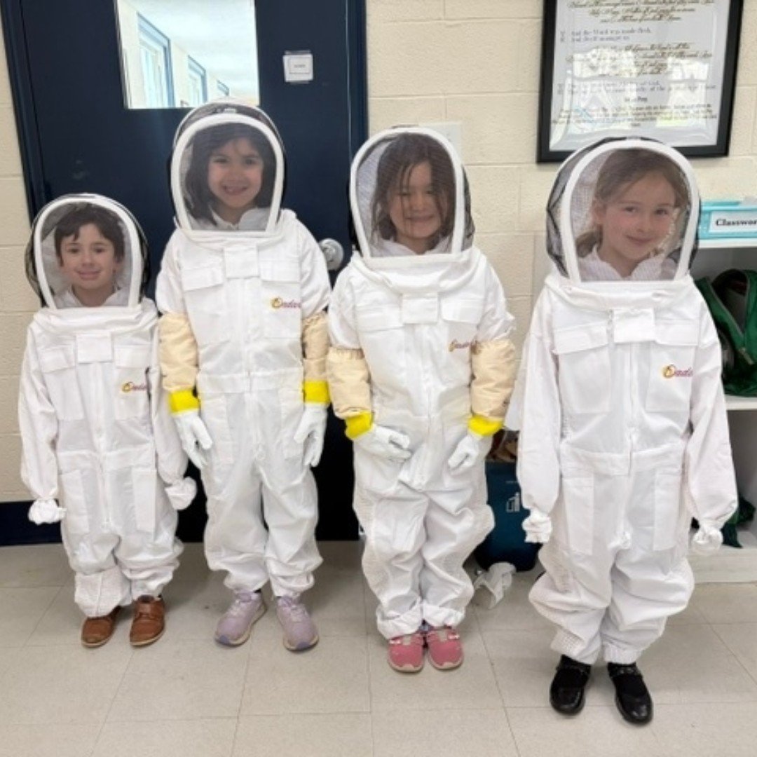 Beekeepers are suited and ready!