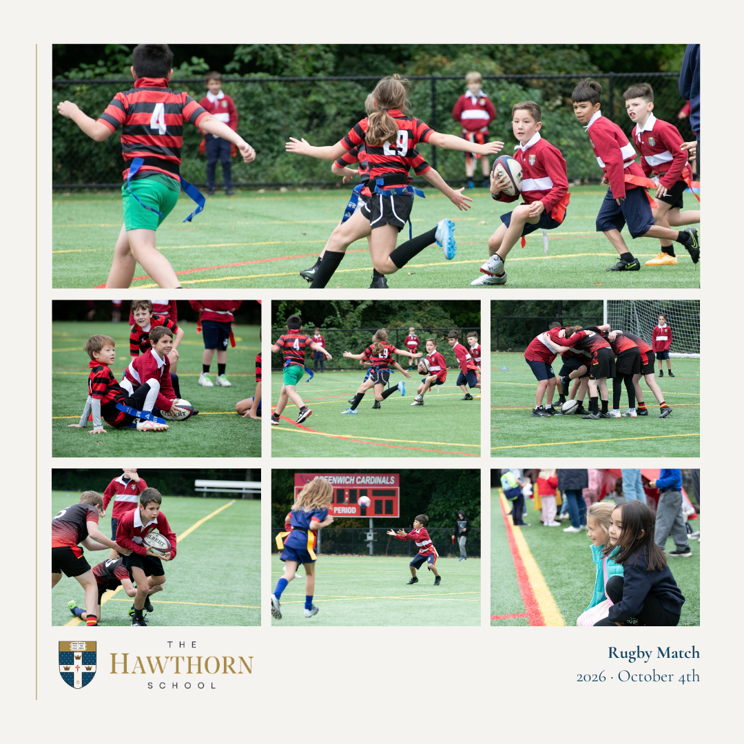 Rugby Match