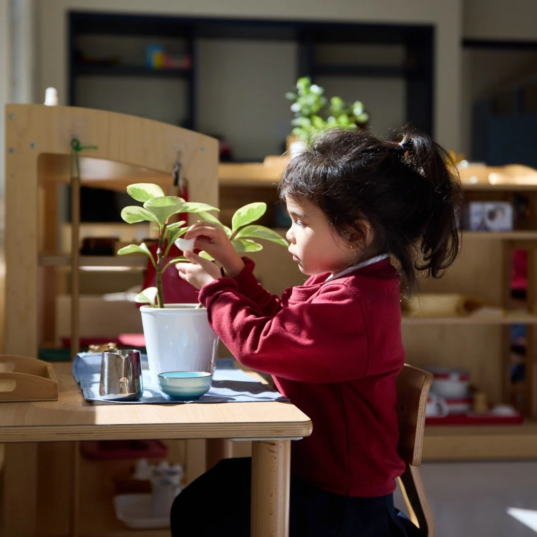 Even the smallest tasks can teach something meaningful. Learning to care for something with patience and attention helps our students grow in responsibility, gentleness, and respect for God&rsquo;s creation. 

Learn more about our Montessori Preschoo